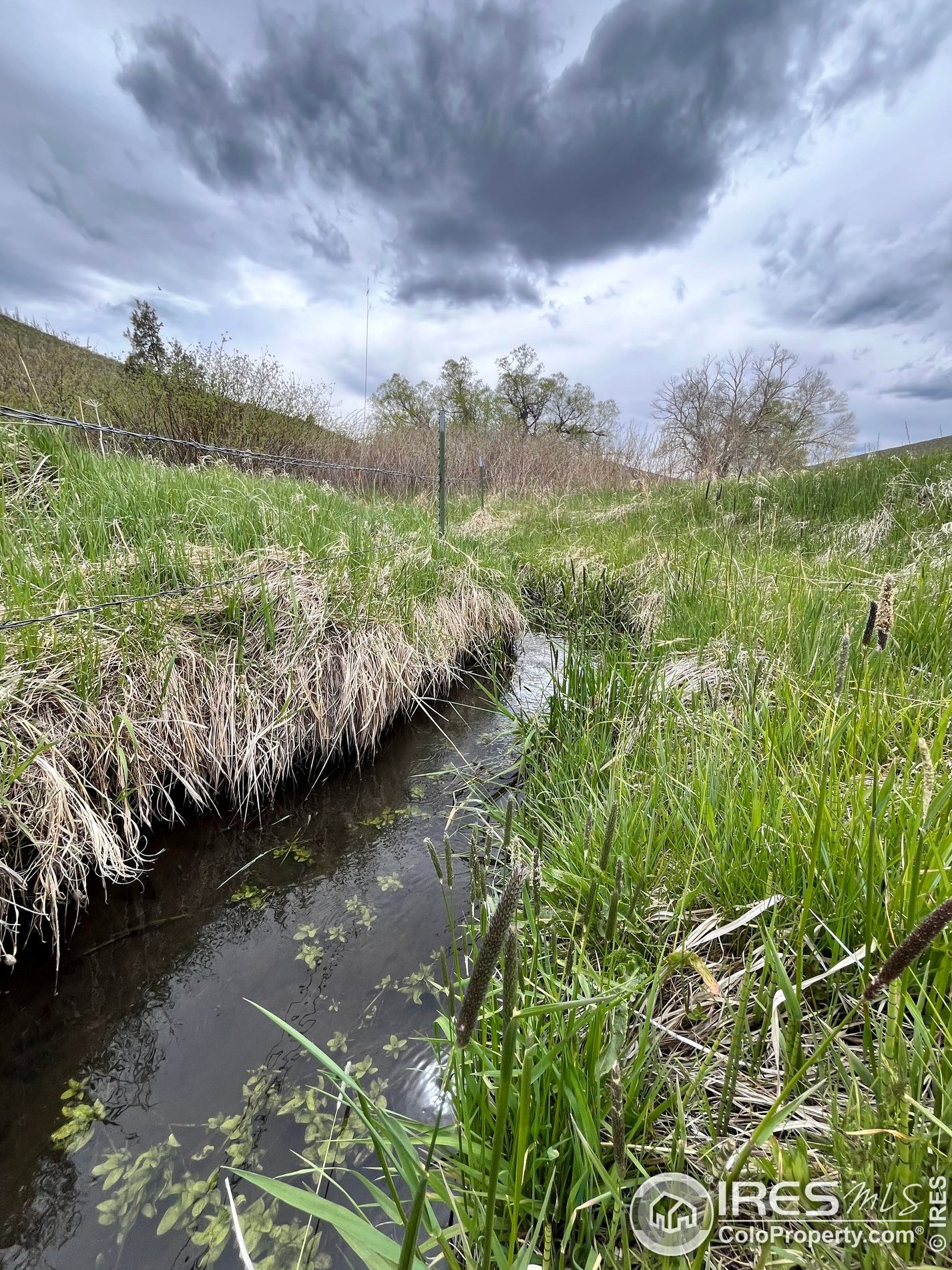 986 Deer Mdw Way, Red Feather Lakes CO 80536-9505 exterior