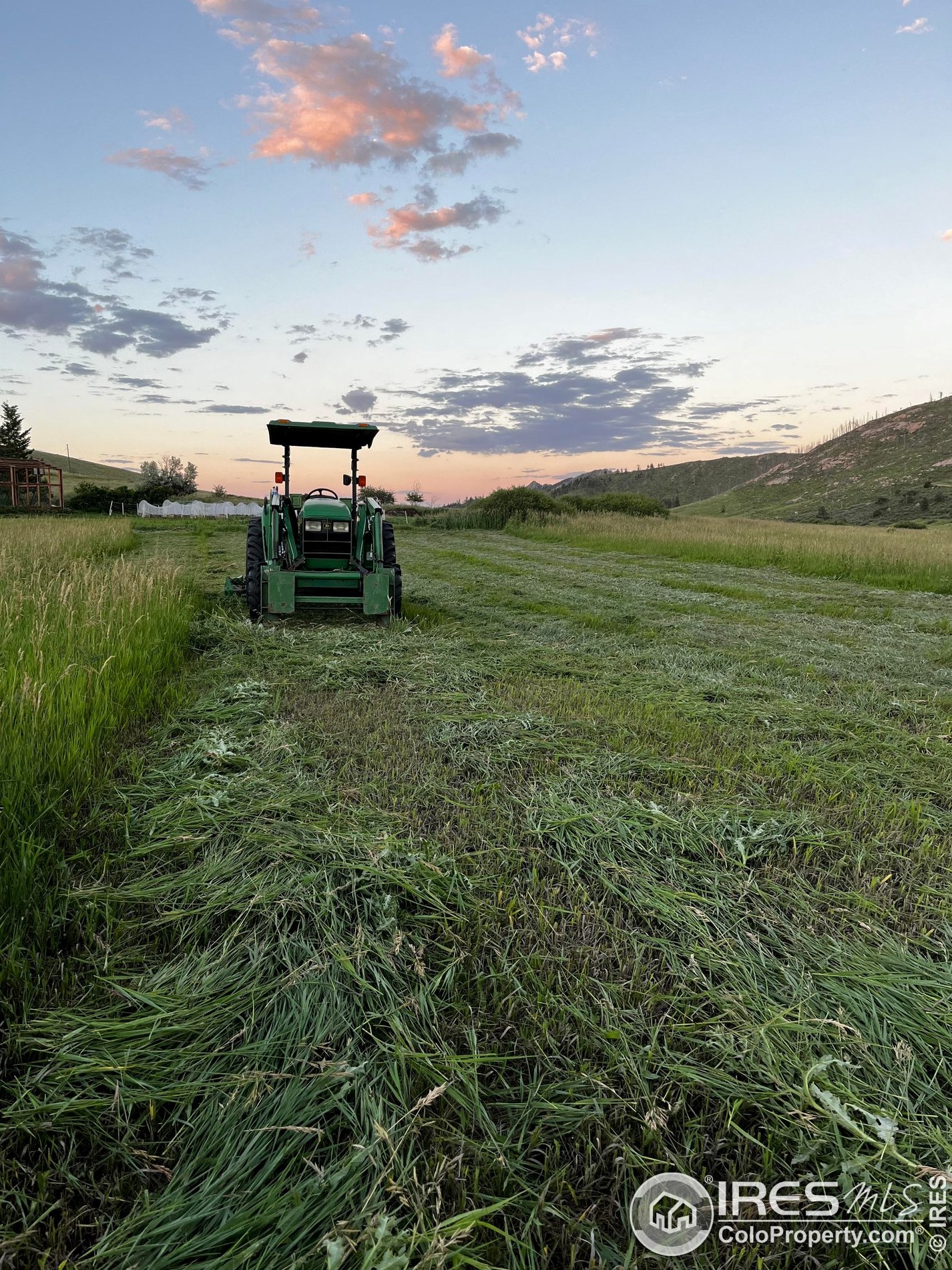 986 Deer Mdw Way, Red Feather Lakes CO 80536-9505 exterior