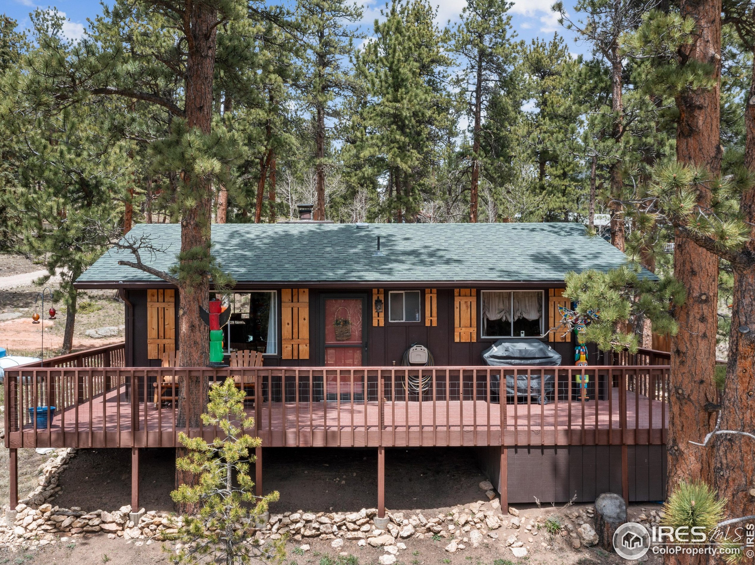 789 Cabin Creek Rd, Allenspark, CO 80510