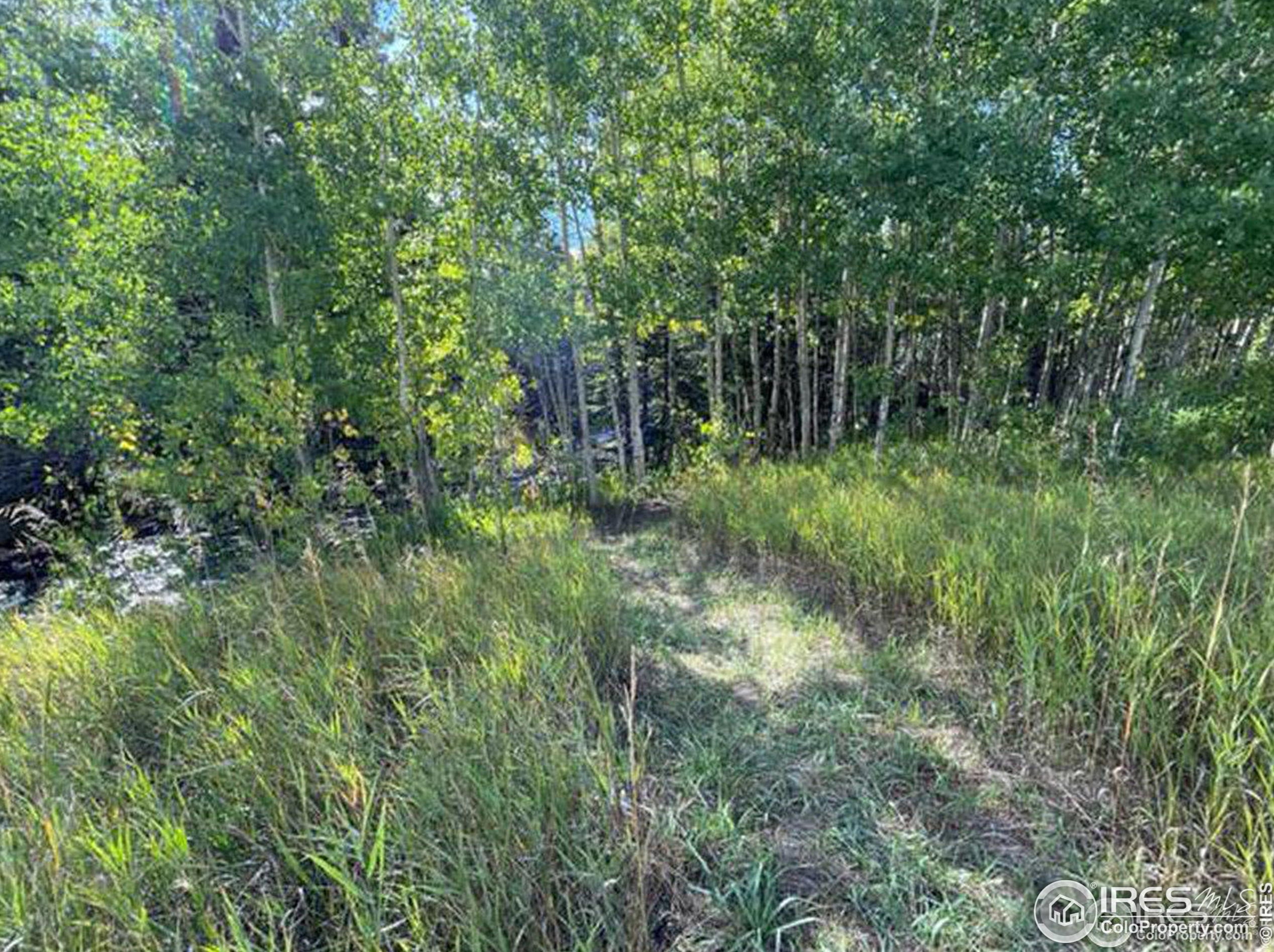 146 Hummer Dr, Nederland CO 80466-9562 exterior