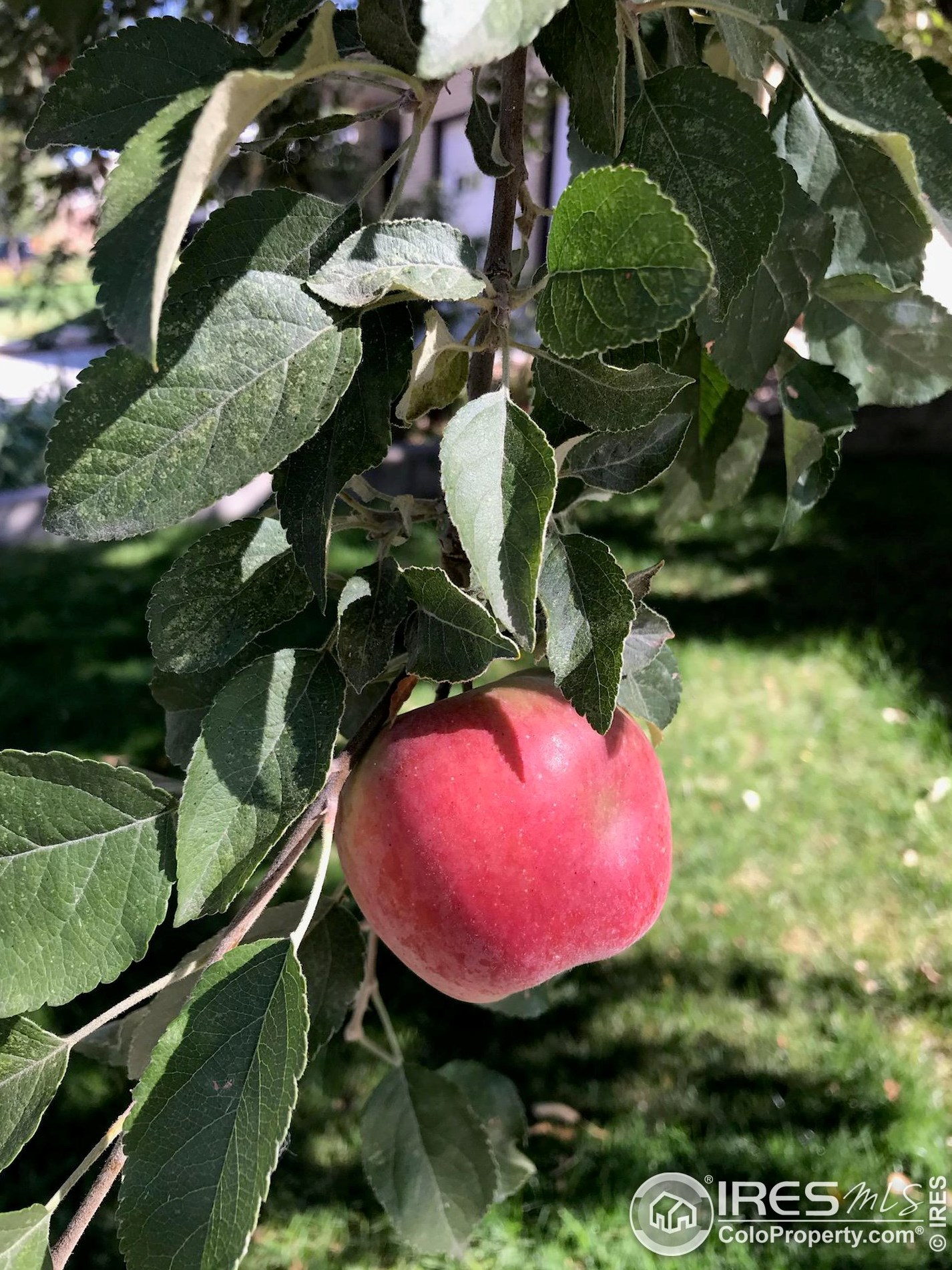 2158 27 Ave, Greeley CO 80634-6623 exterior