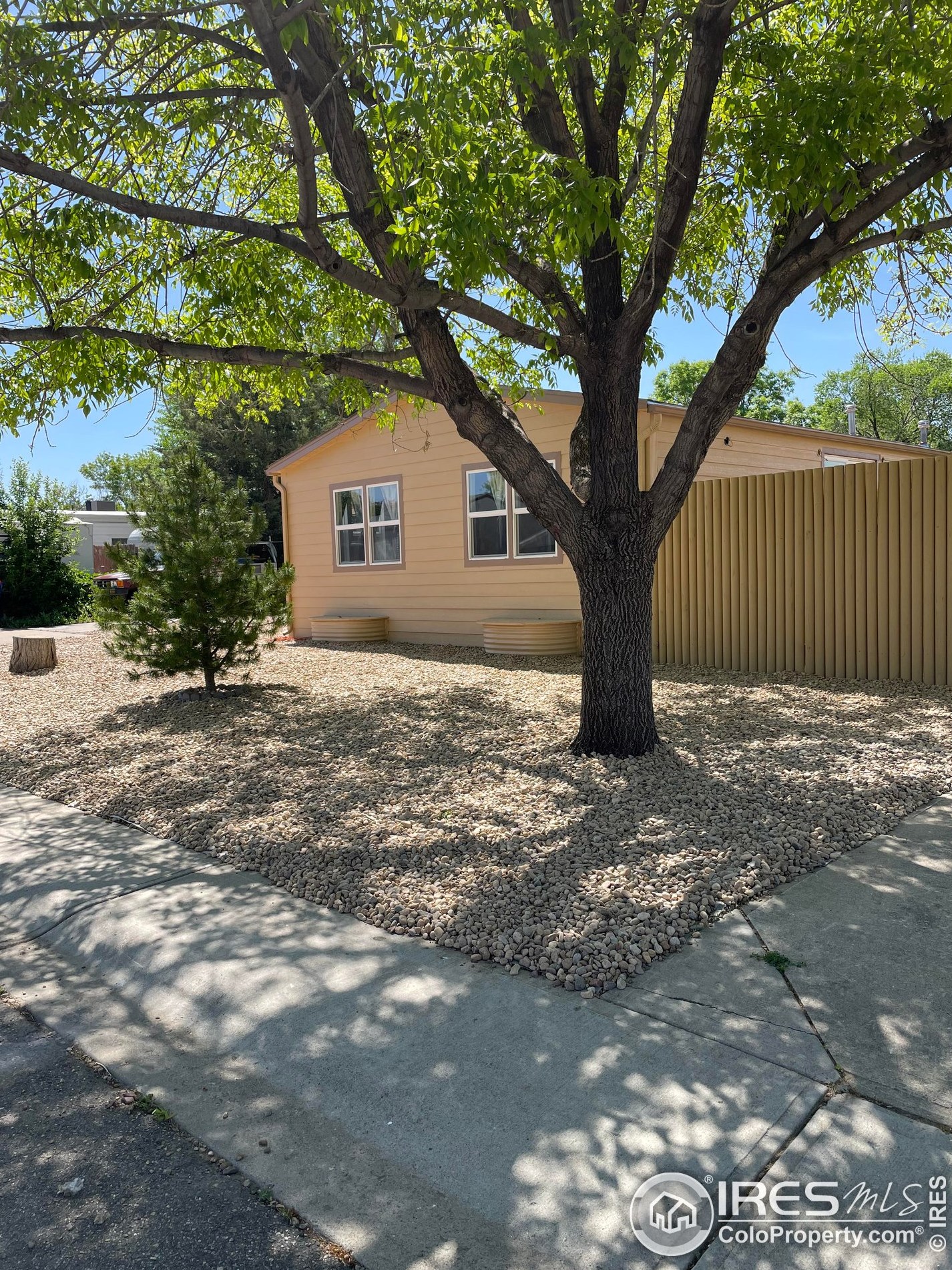 1213 Mackay Ct, Erie, CO 80514
