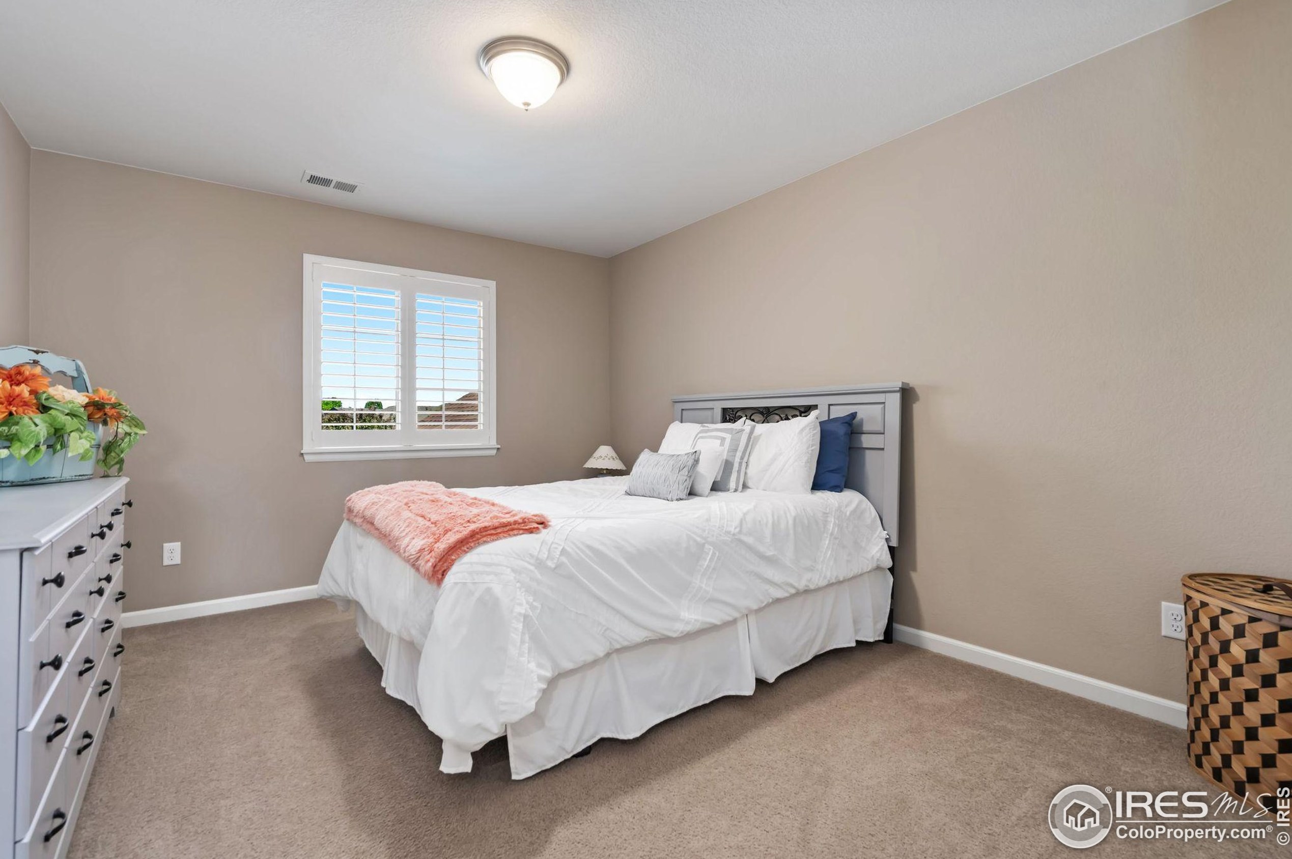 4783 Forelock Dr, Fort Collins CO  80524-6071 exterior