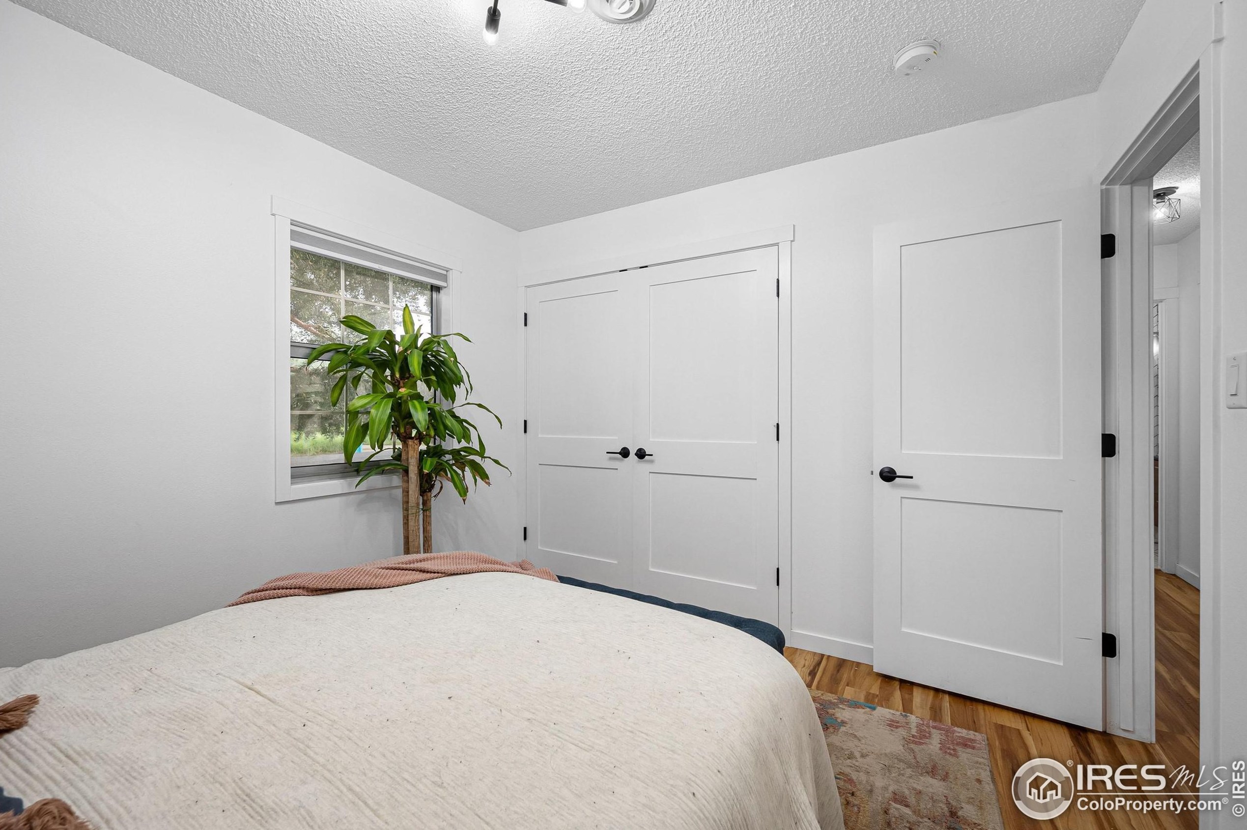 2806 Woodford Ave, Fort Collins CO  80521-2441 exterior