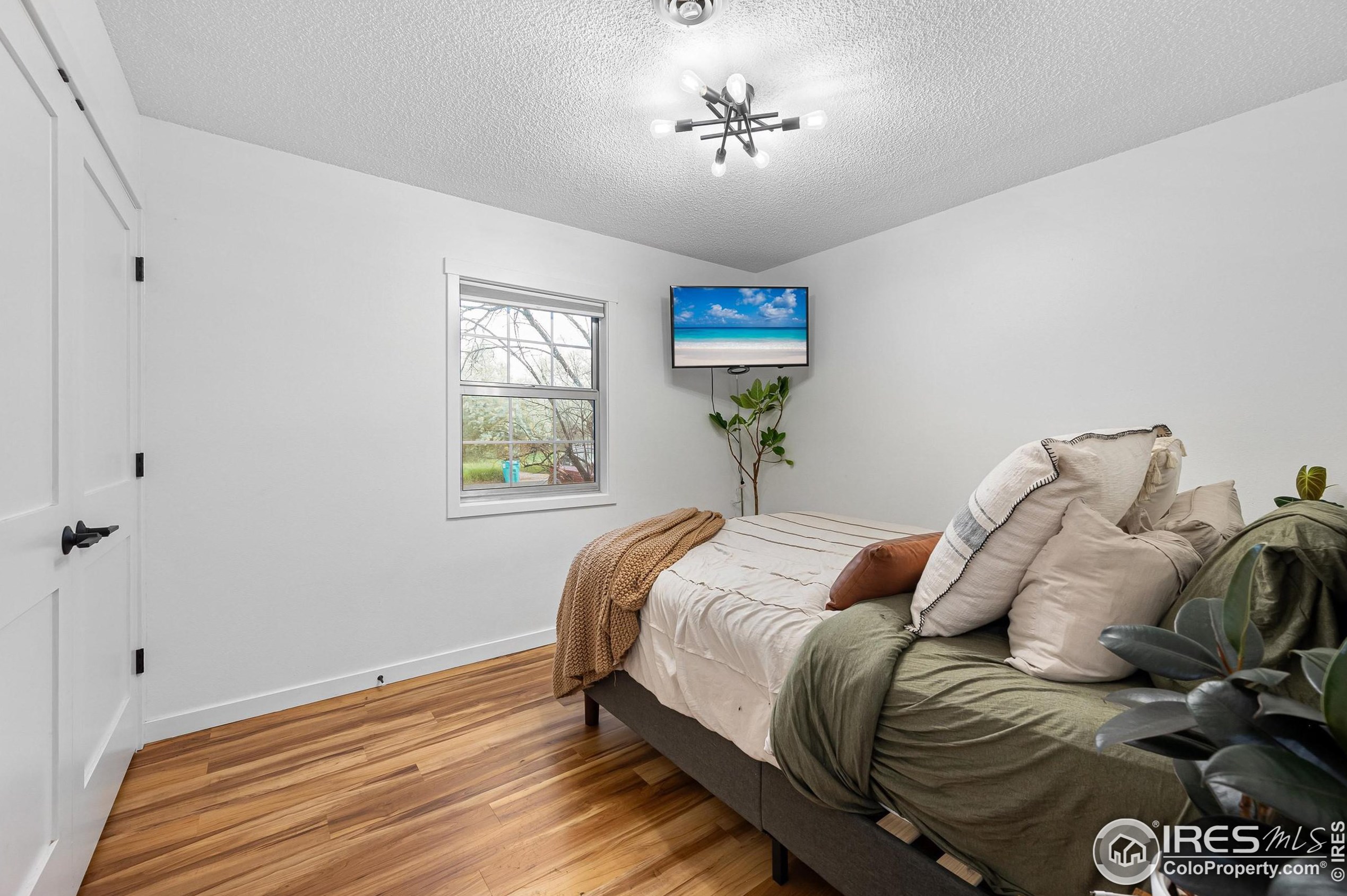 2806 Woodford Ave, Fort Collins CO  80521-2441 exterior