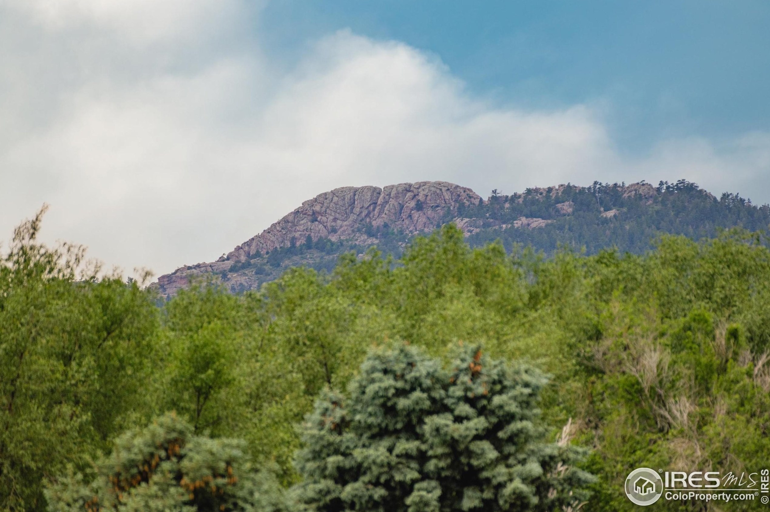 2806 Woodford Ave, Fort Collins CO  80521-2441 exterior