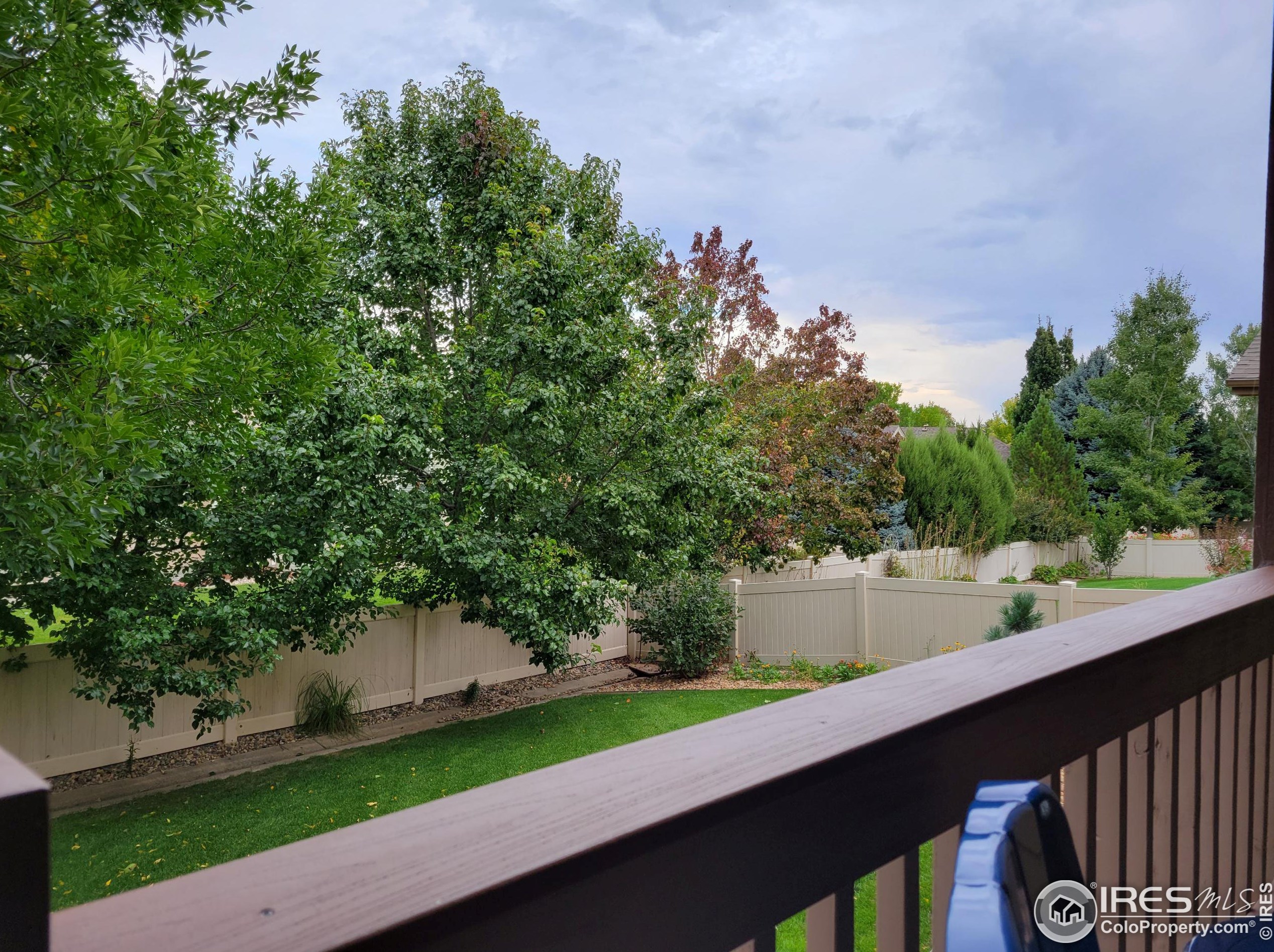875 Norway Maple Dr, Loveland, CO 80538-5640