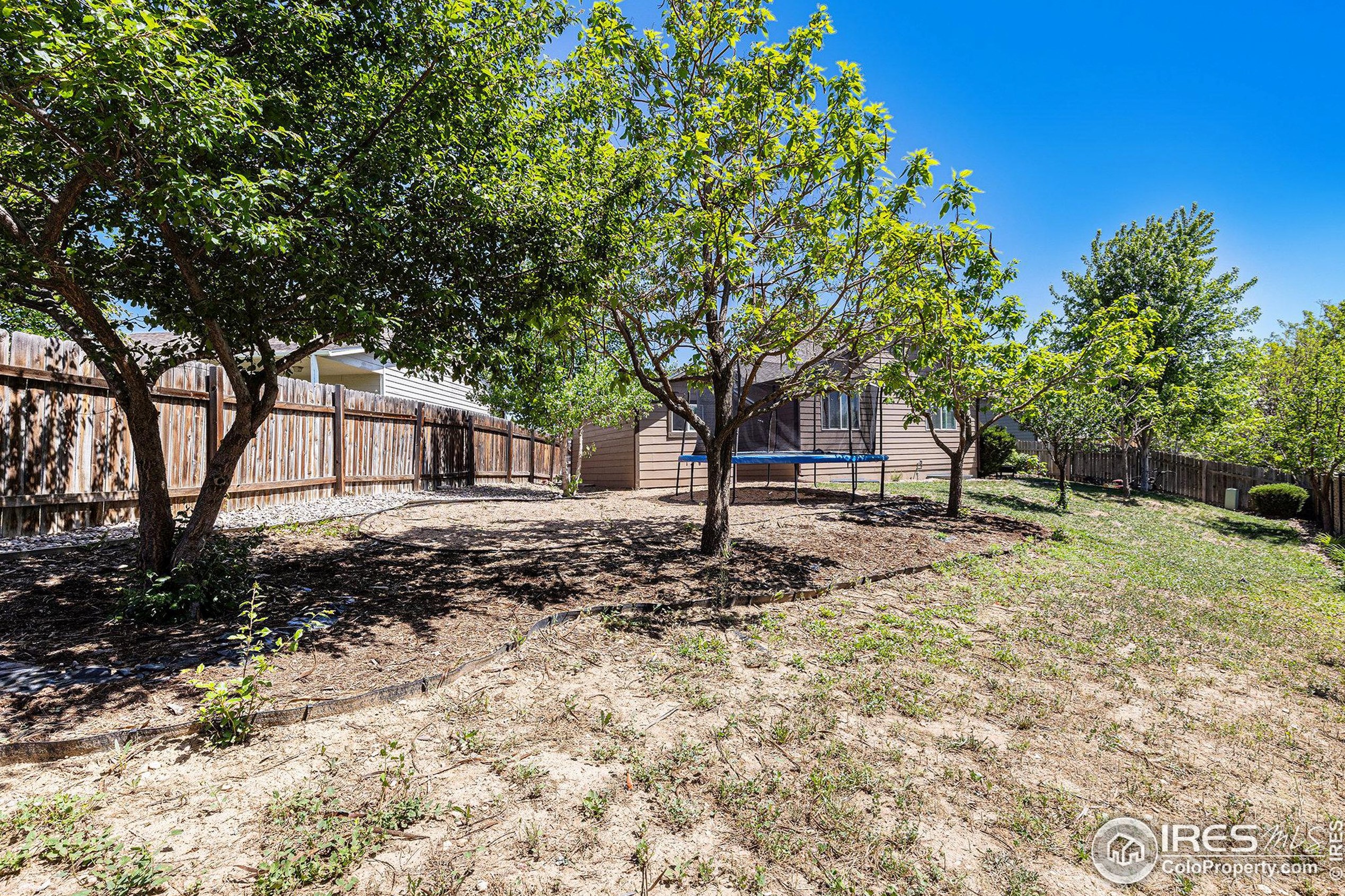 3009 46th Ave, Greeley CO 80634-5004 exterior