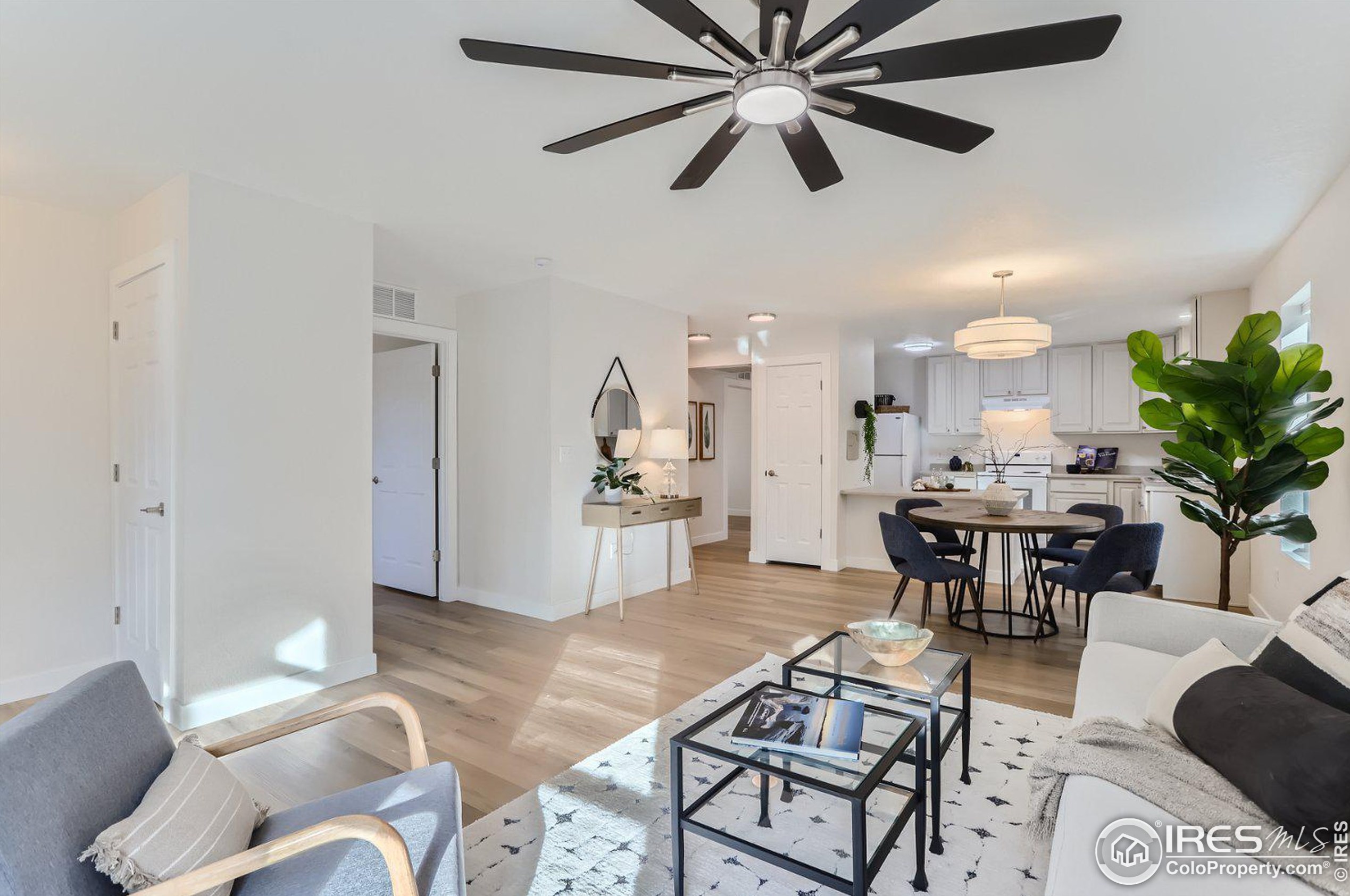 1416 Bluemoon Dr, Longmont CO 80504-1770 exterior