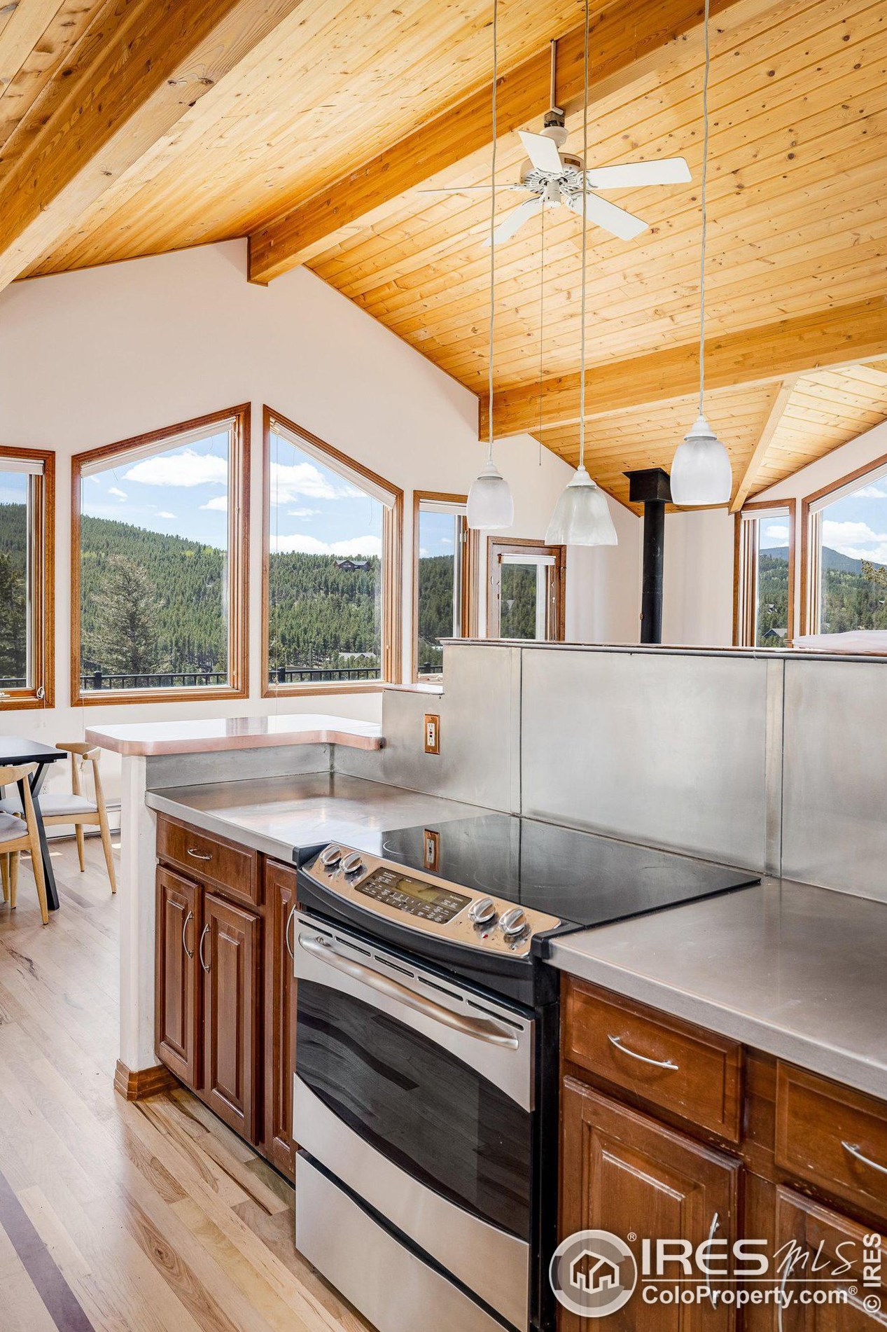 64 Doe Trl, Nederland CO exterior