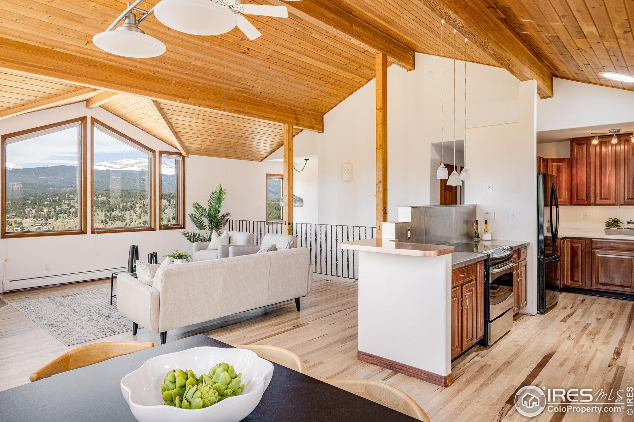 64 Doe Trl, Nederland CO exterior