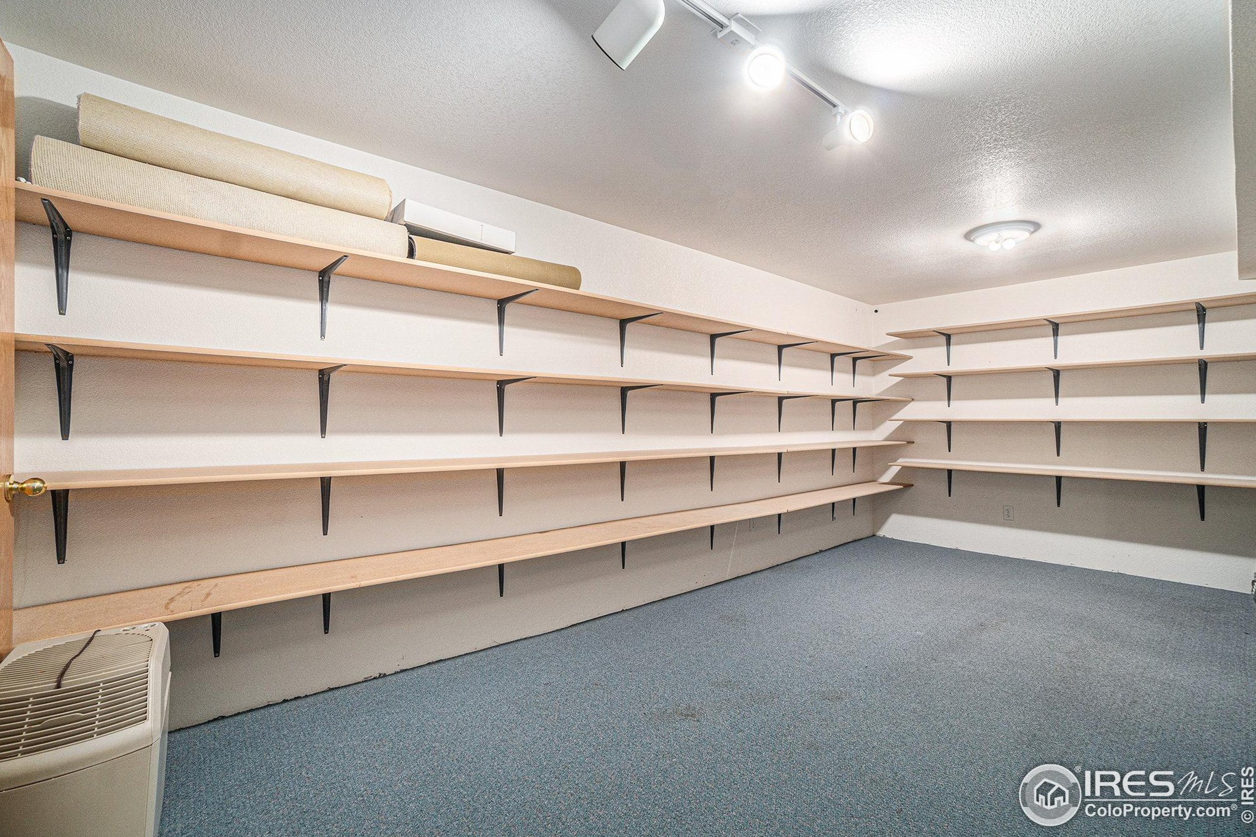 3101 50 Ave Ct, Greeley CO 80634-8772 exterior