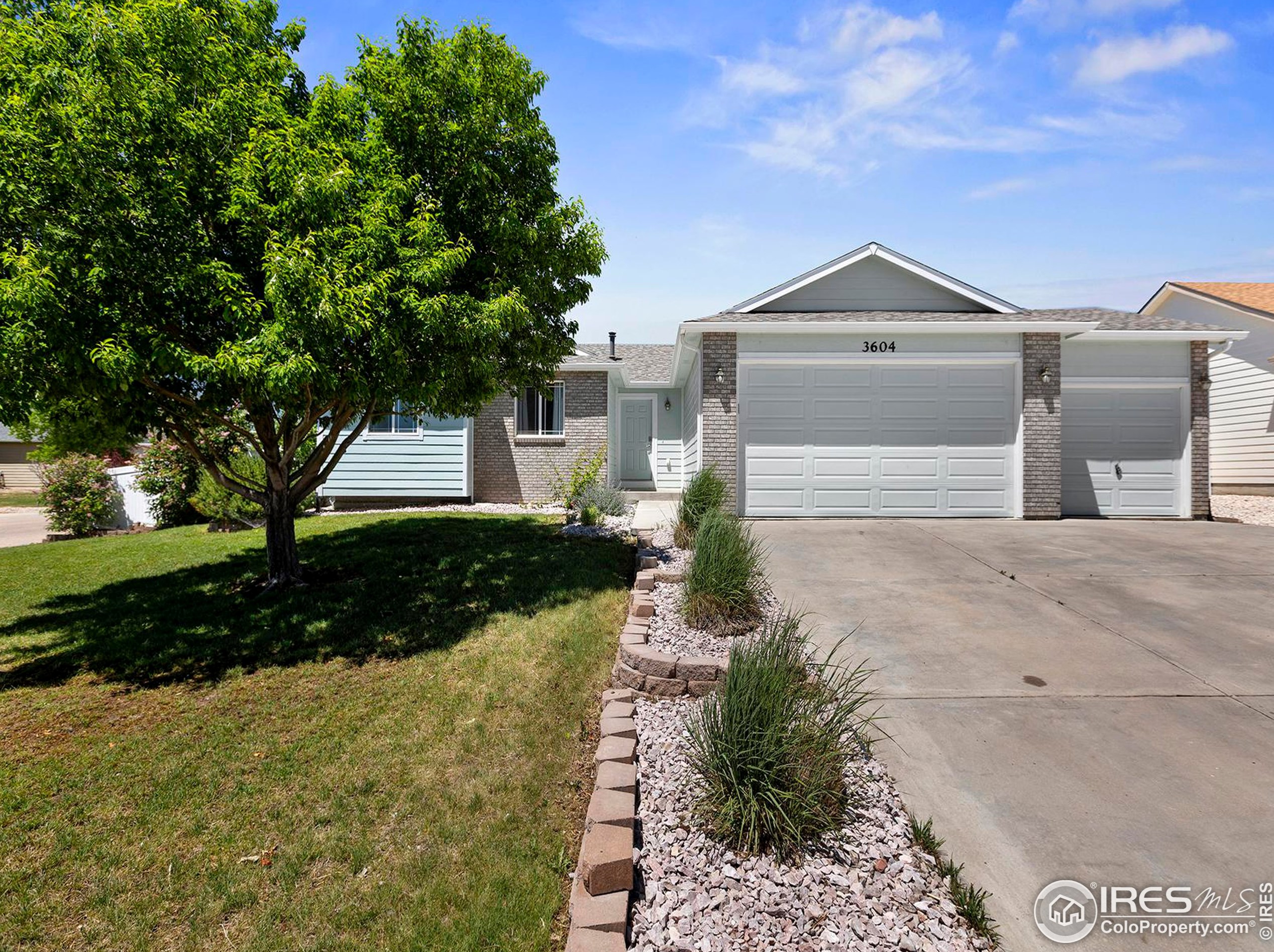 3604 Mount Ouray St, Wellington, CO 80549-2216