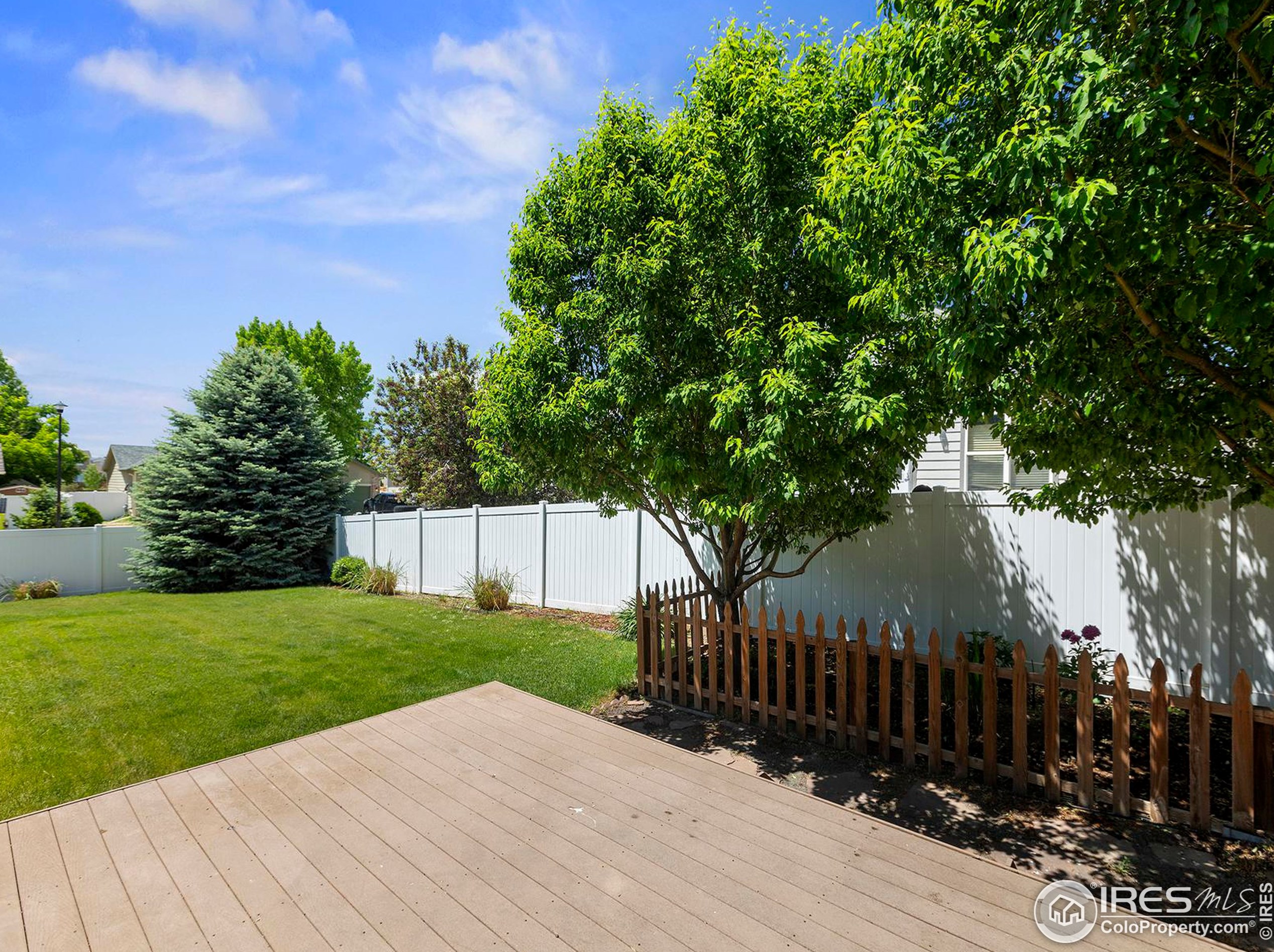 3604 Mt Ouray St, Wellington CO 80549-2216 exterior