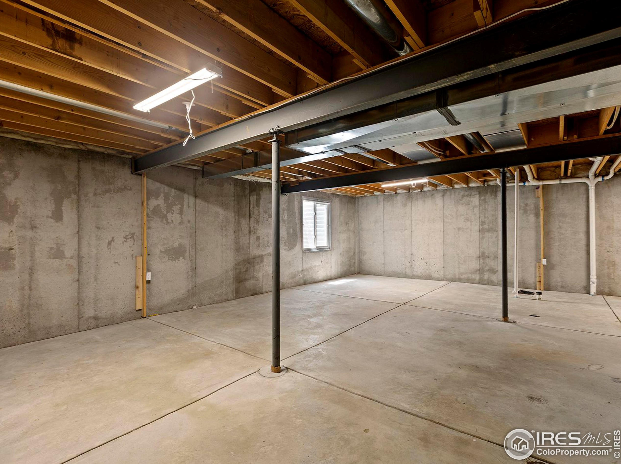 3604 Mt Ouray St, Wellington CO 80549-2216 exterior