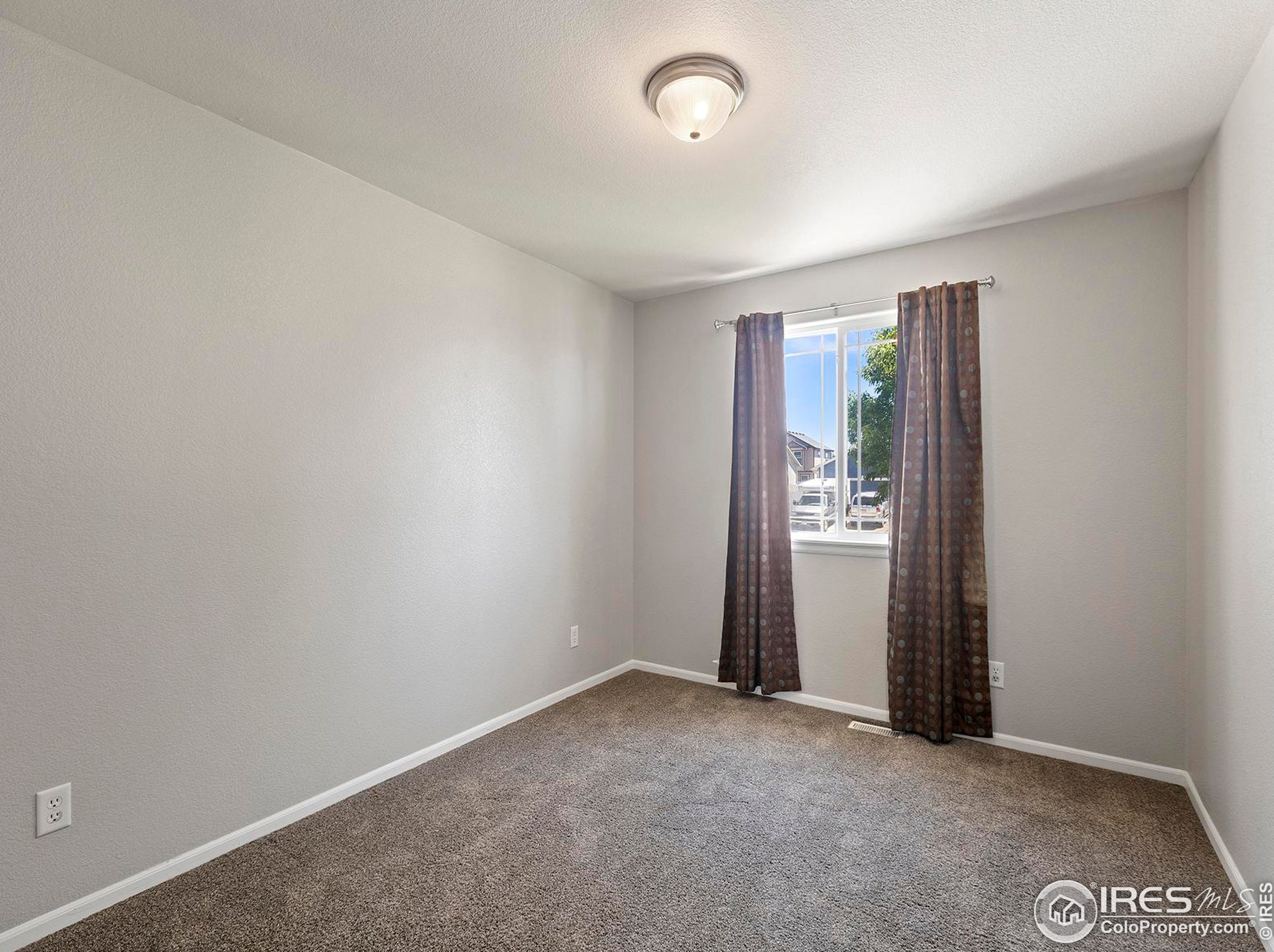 3604 Mt Ouray St, Wellington CO 80549-2216 exterior