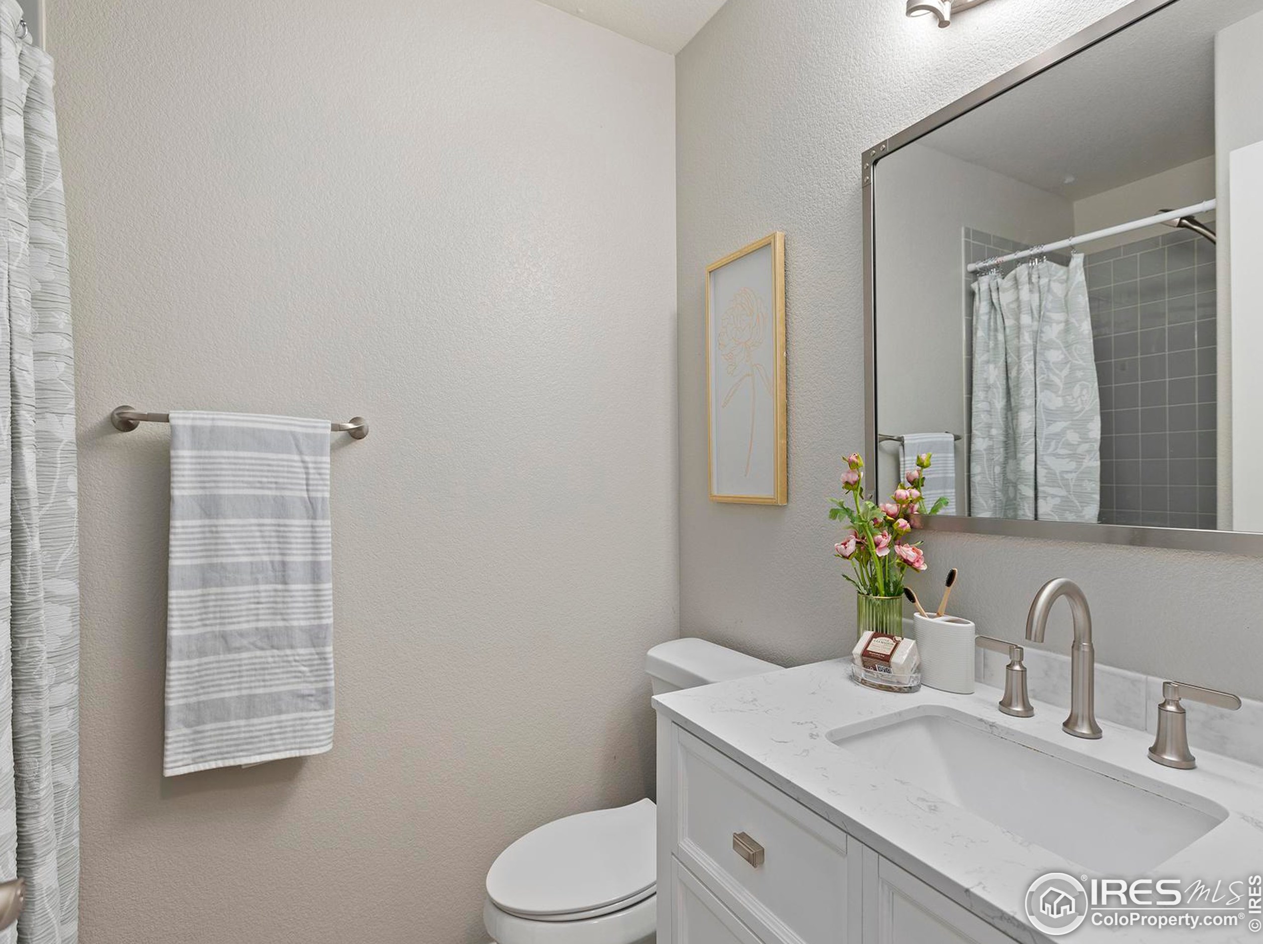 3604 Mt Ouray St, Wellington CO 80549-2216 exterior