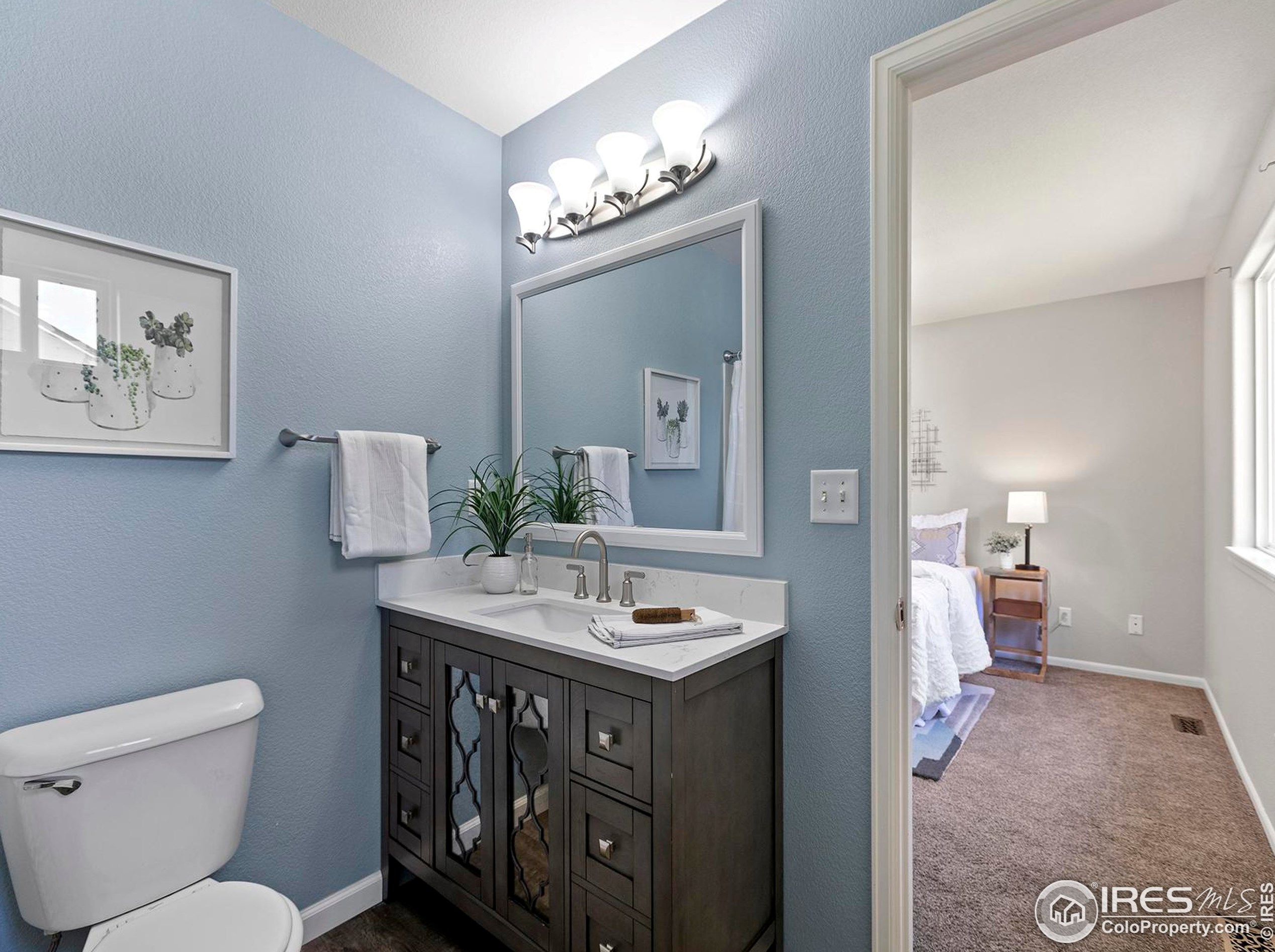 3604 Mt Ouray St, Wellington CO 80549-2216 exterior