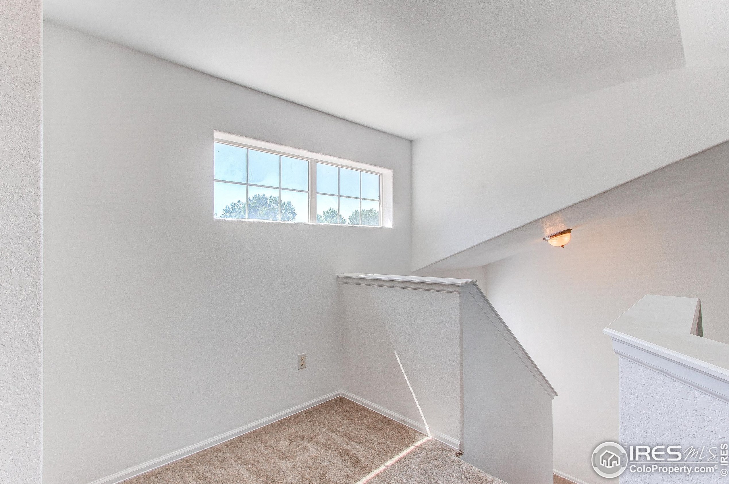 2155 Blue Duck Ct, Loveland CO 80537-6592 exterior