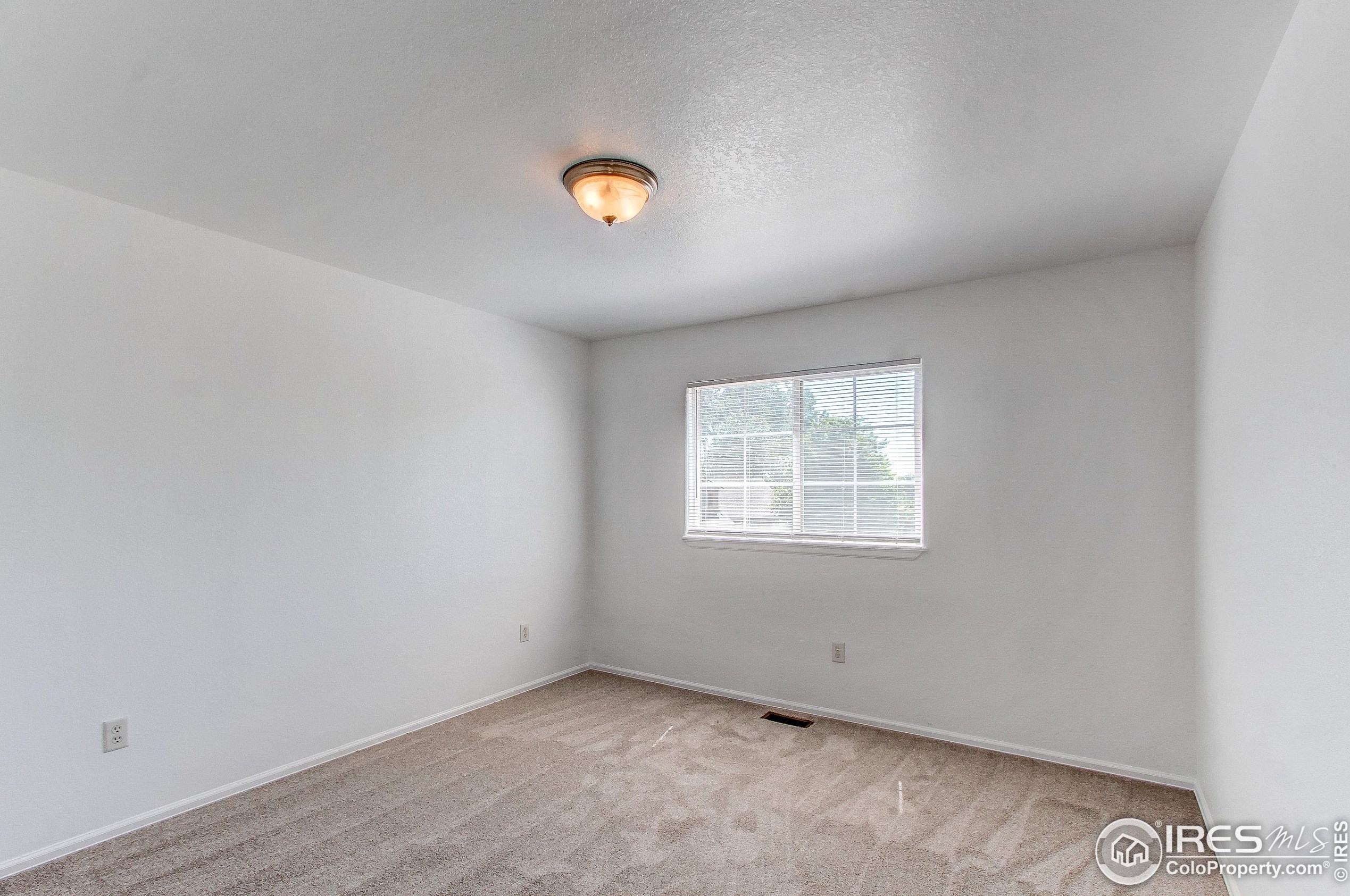 2155 Blue Duck Ct, Loveland CO 80537-6592 exterior