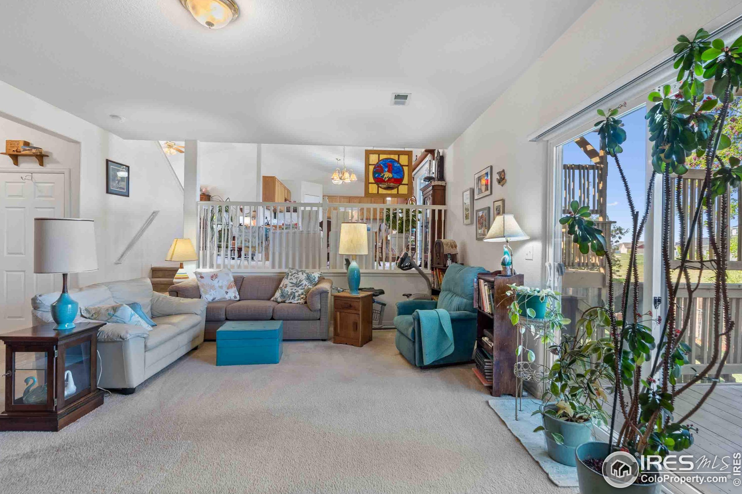 309 Windflower Way, Fort Collins CO  80550-6233 exterior