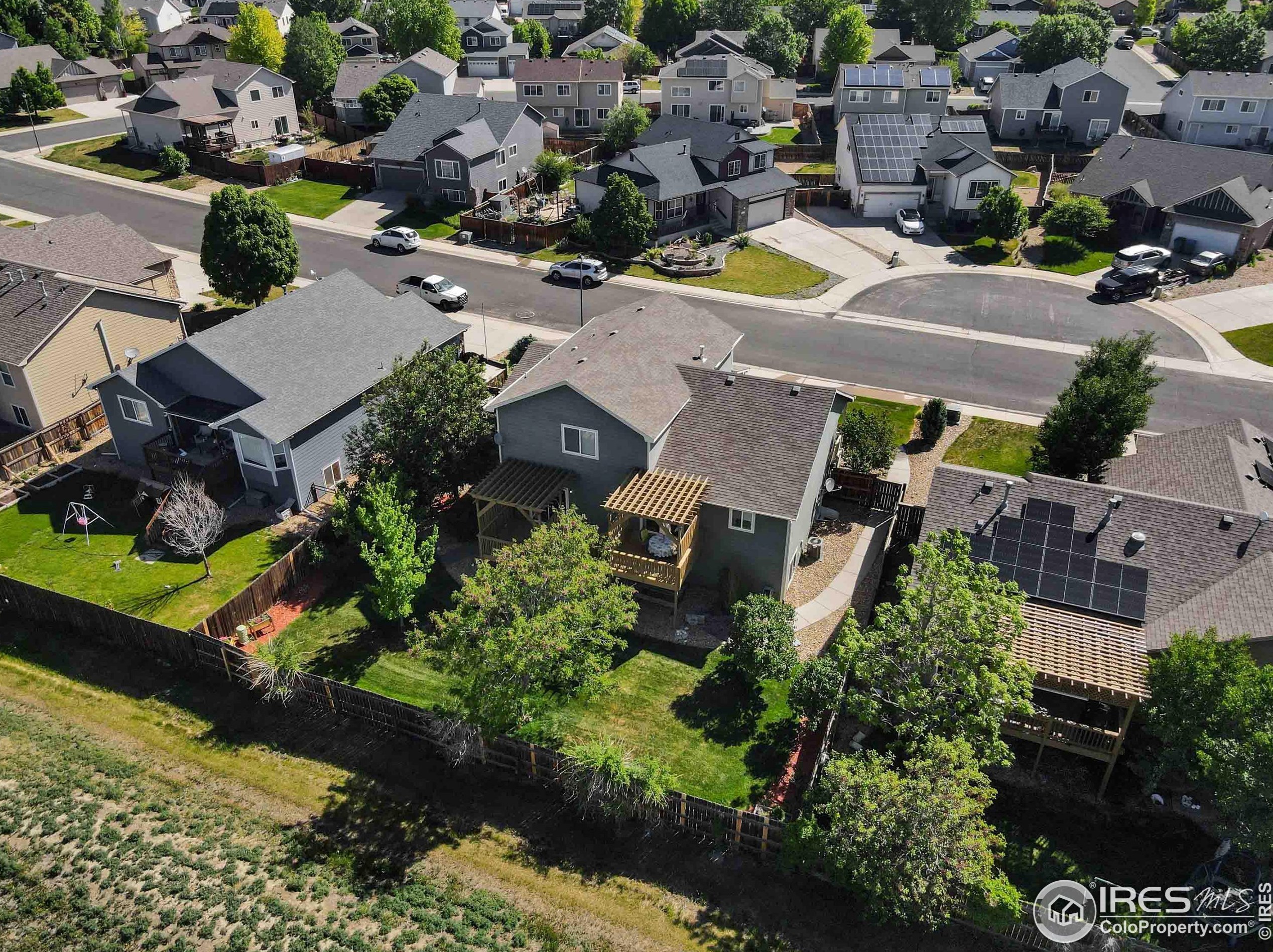 309 Windflower Way, Fort Collins CO  80550-6233 exterior