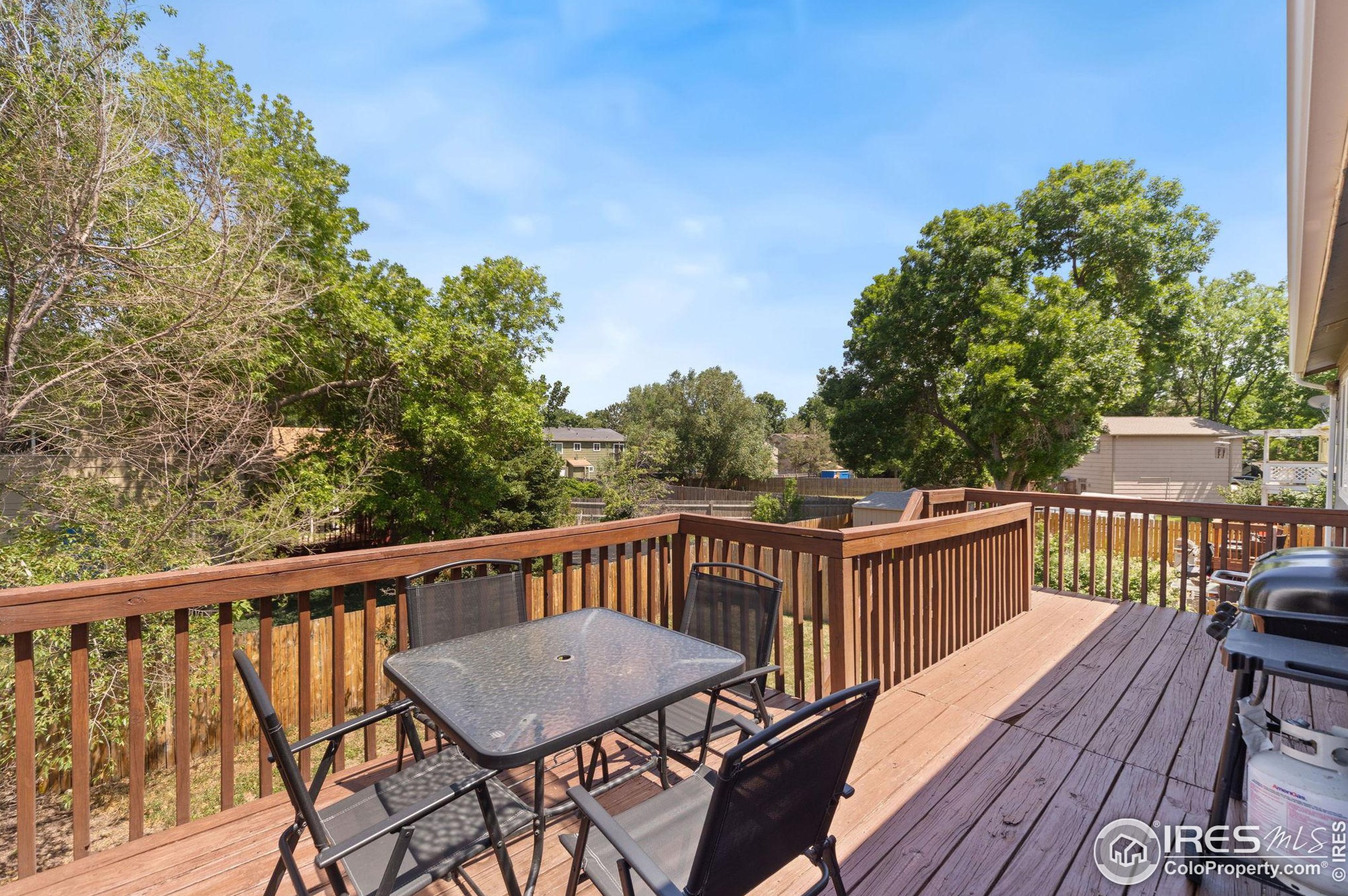 2616 Darren St, Fort Collins CO  80524-3676 exterior