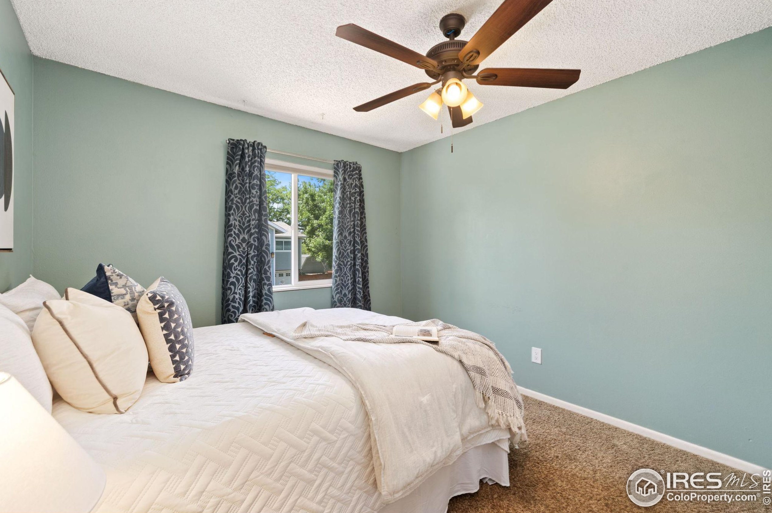 2616 Darren St, Fort Collins CO  80524-3676 exterior