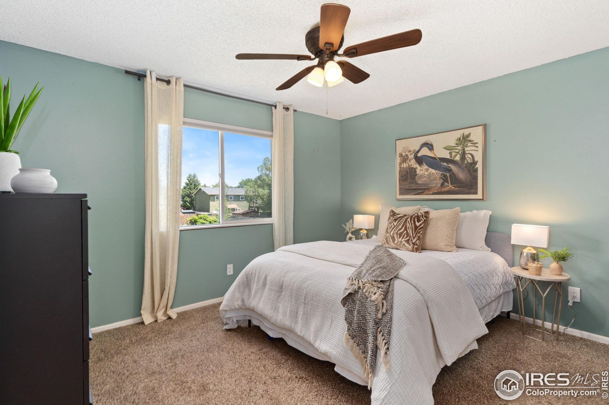 2616 Darren St, Fort Collins CO  80524-3676 exterior