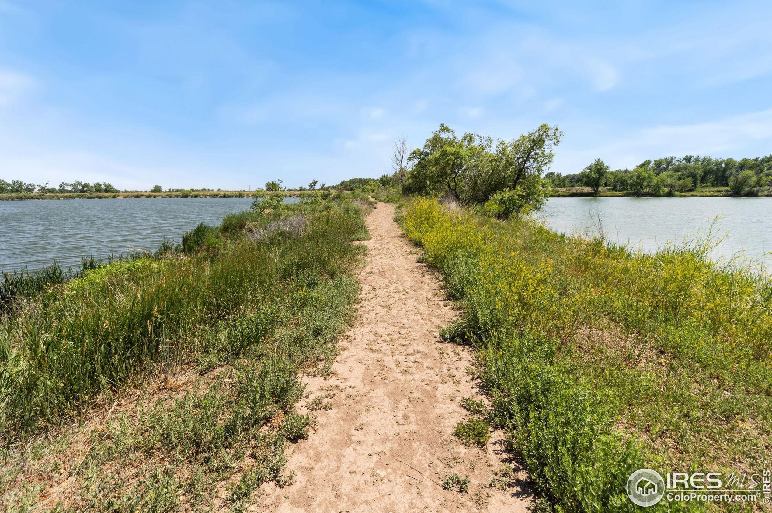 2616 Darren St, Fort Collins CO  80524-3676 exterior