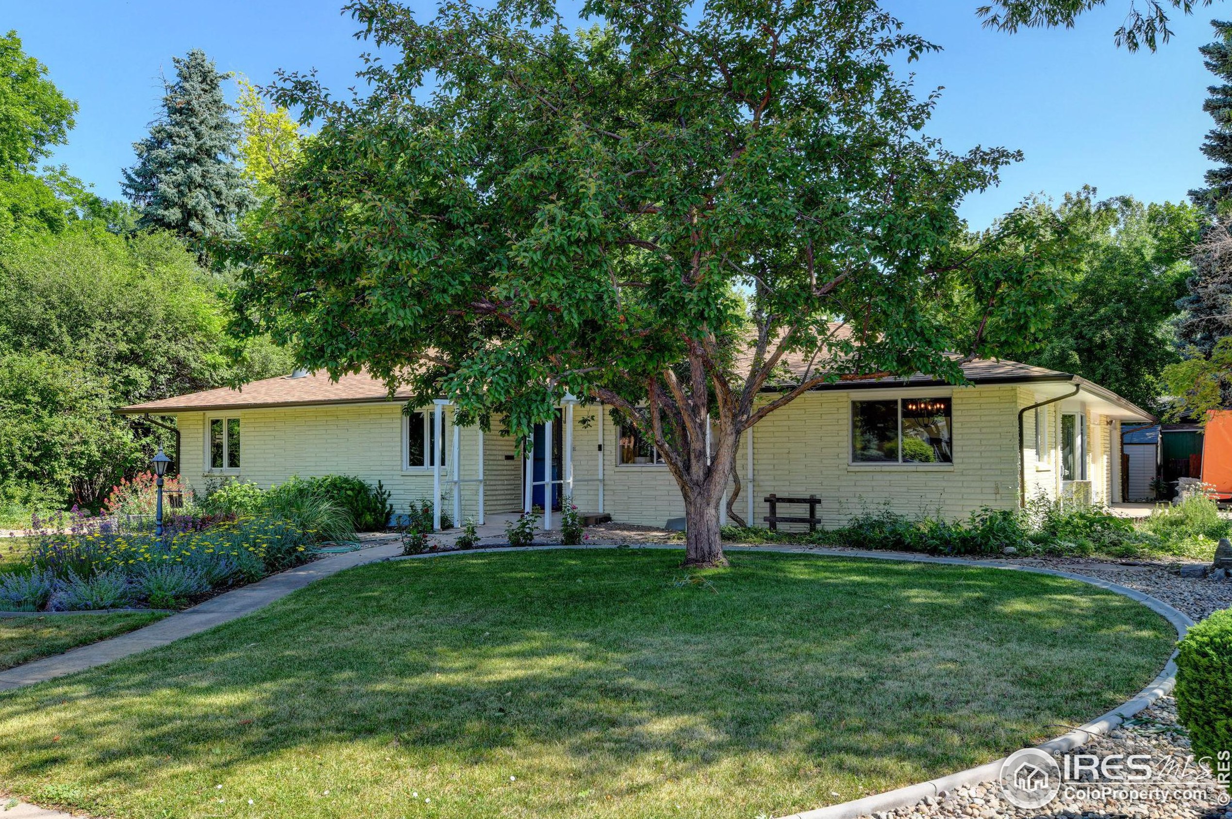 916 Pitkin St, Fort Collins CO  80524-3840 exterior