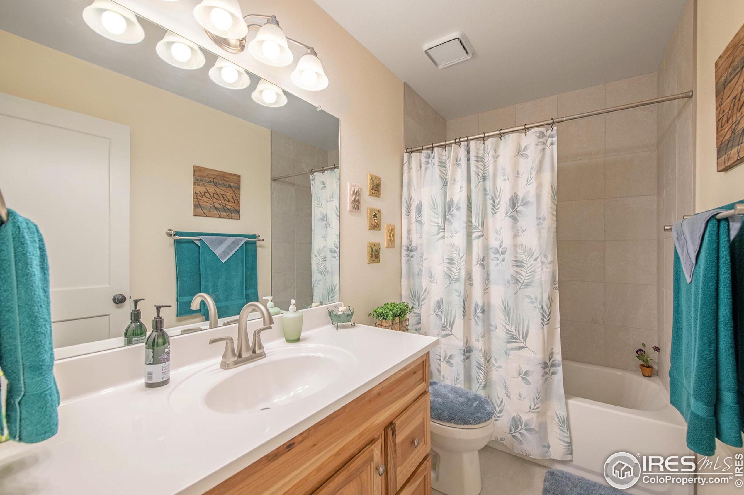 720 Arbor Ave, Fort Collins CO  80526-3135 exterior