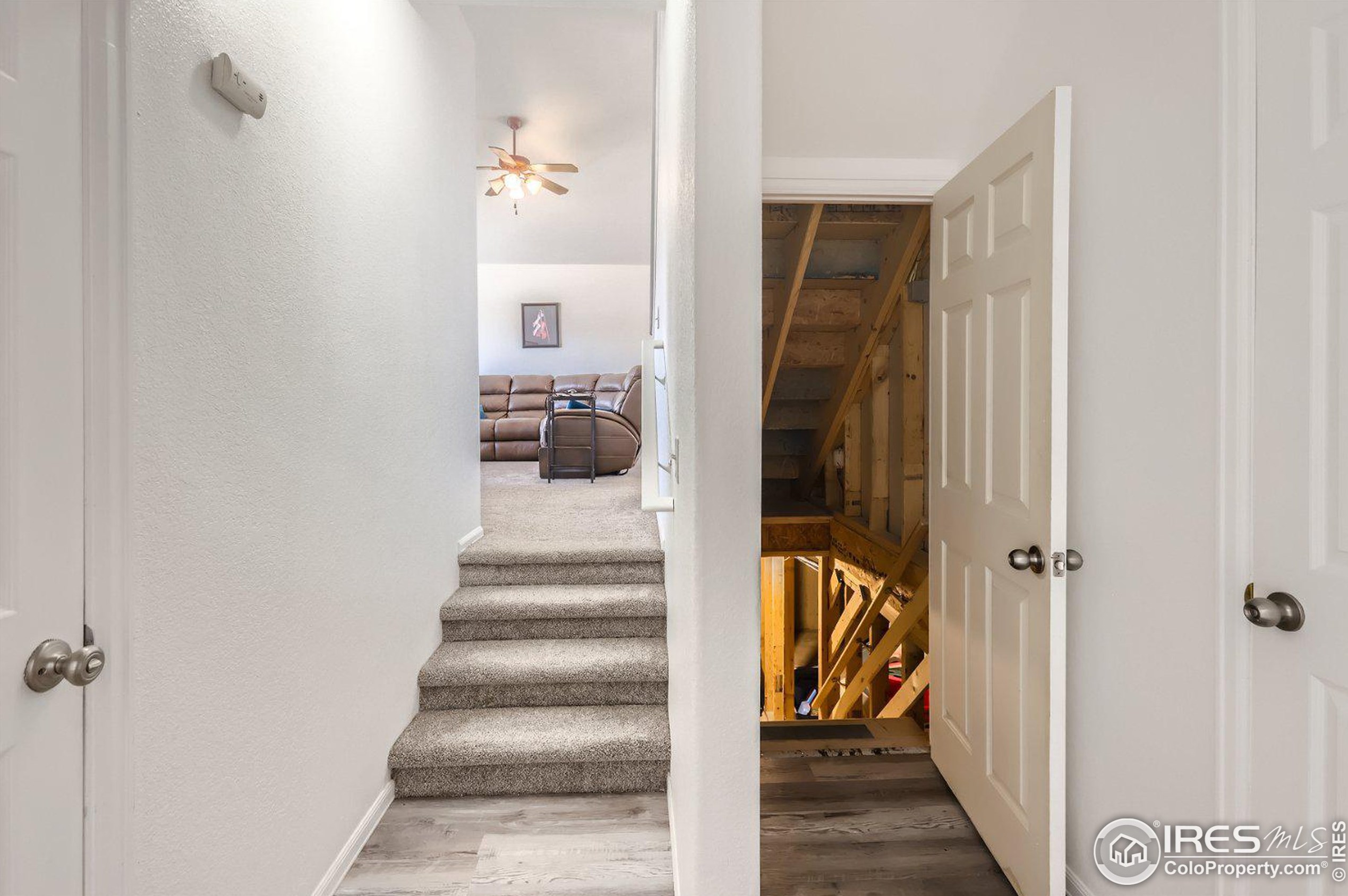 3674 Homestead Dr, Mead CO  80542-4519 exterior