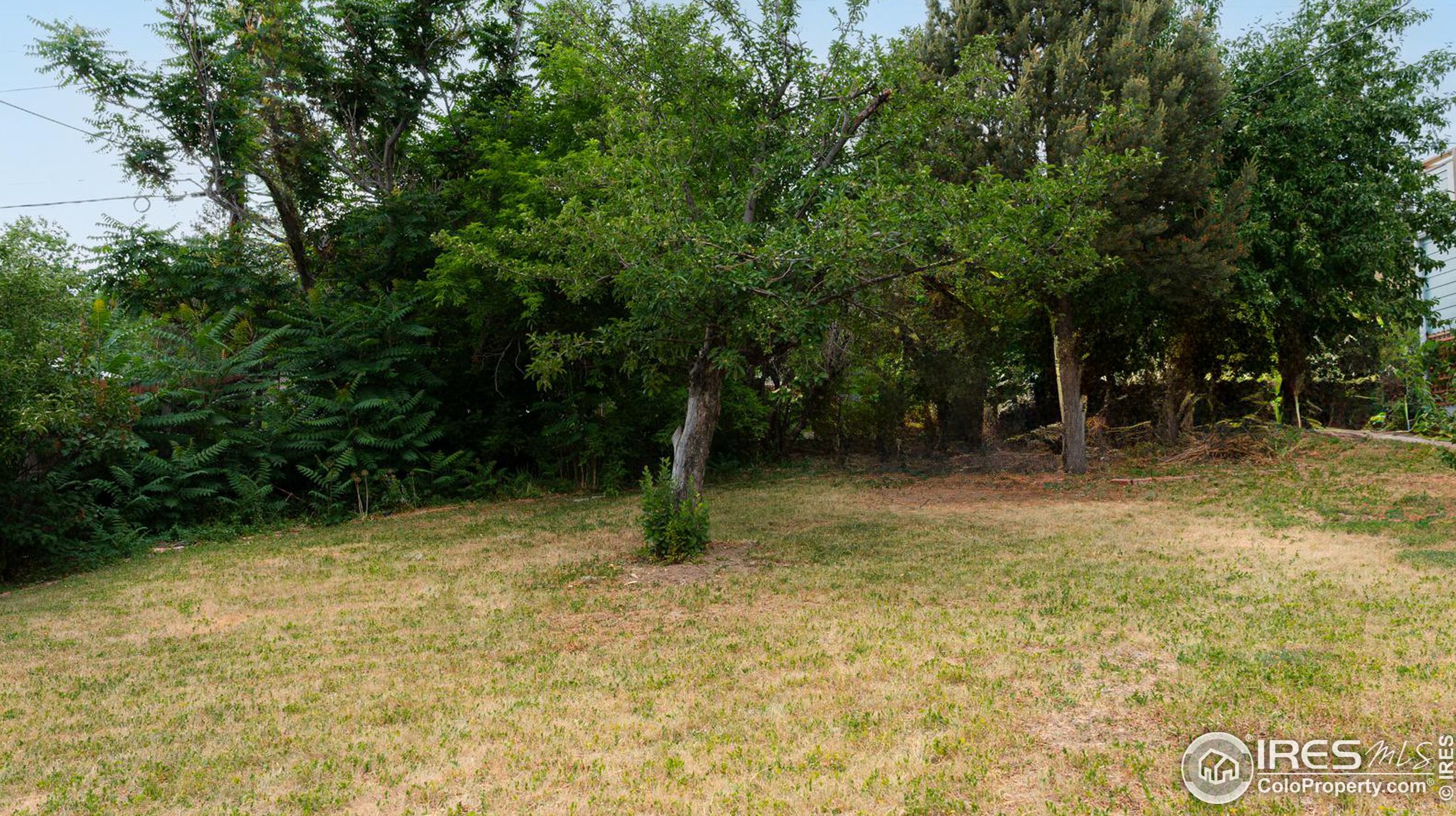 2725 5 St, Boulder CO 80304-3229 exterior