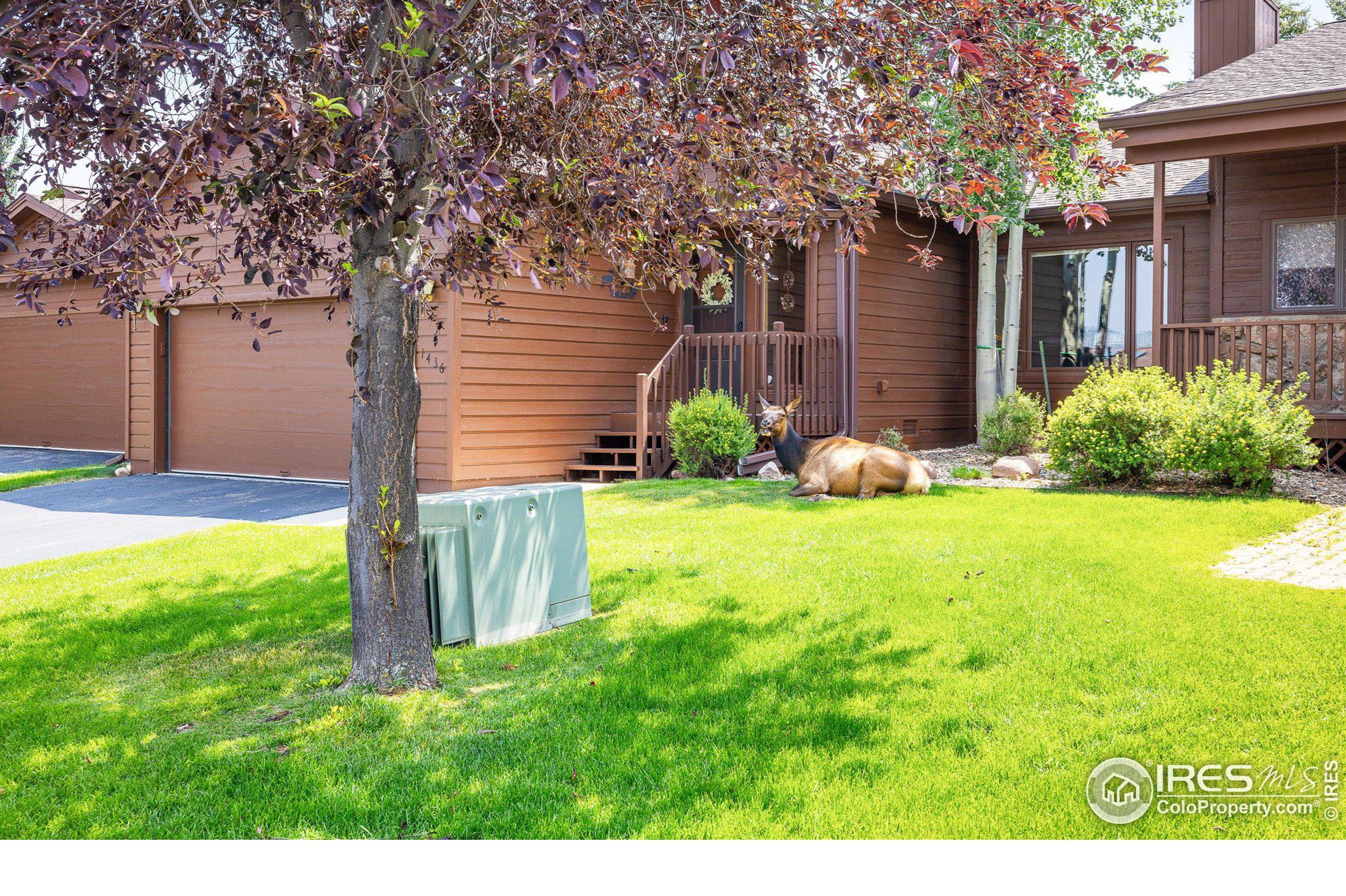 1436 Matthew Cir, Estes Park, CO 80517-7420