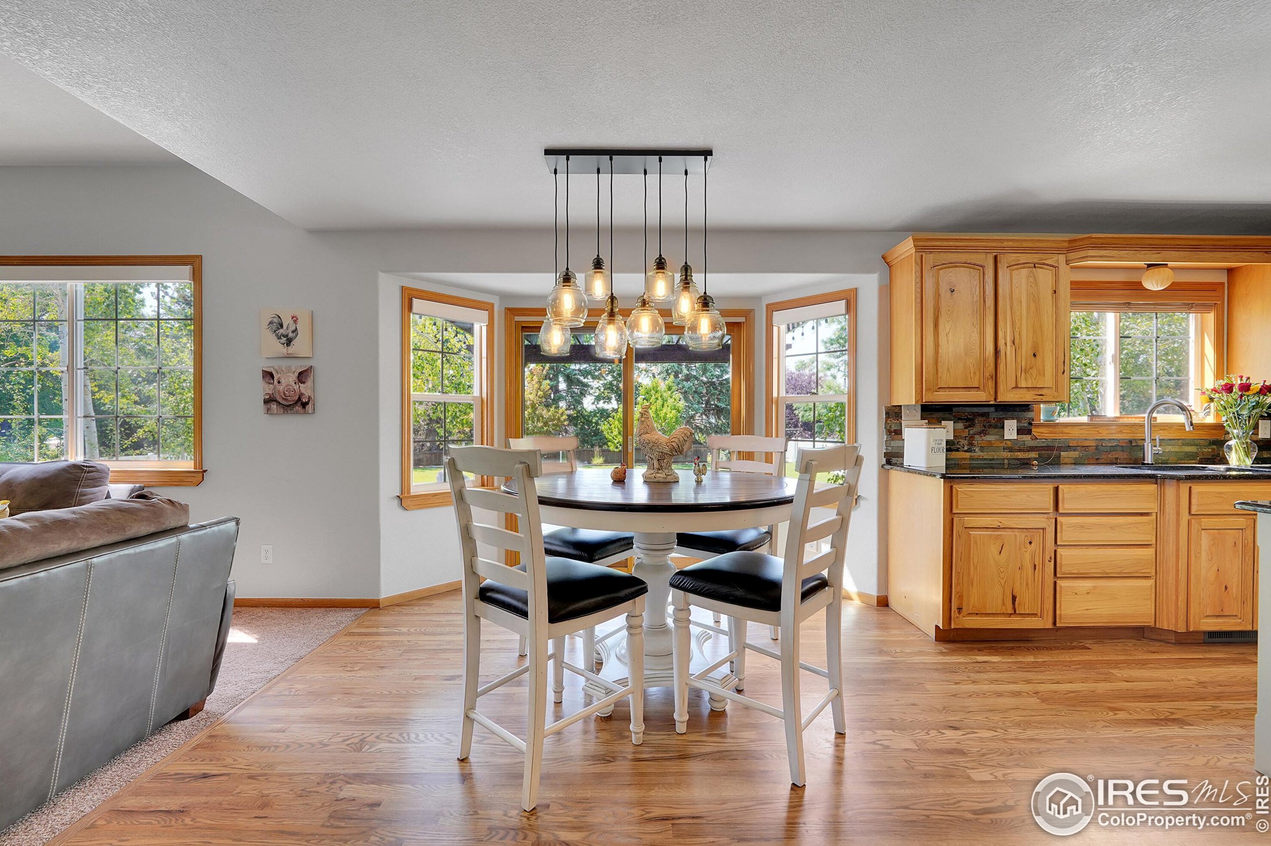 2247 Woody Creek Cir, Loveland CO  80538-5333 exterior