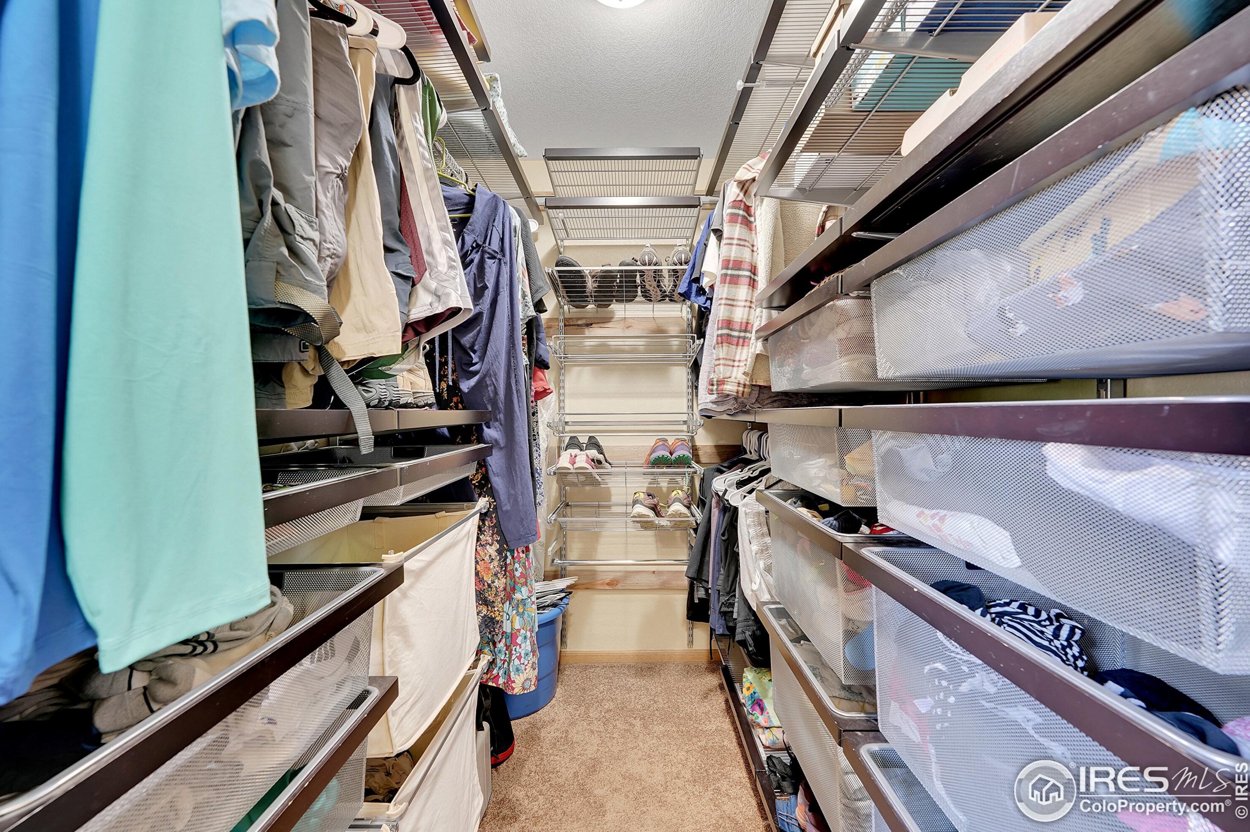 2247 Woody Creek Cir, Loveland CO  80538-5333 exterior