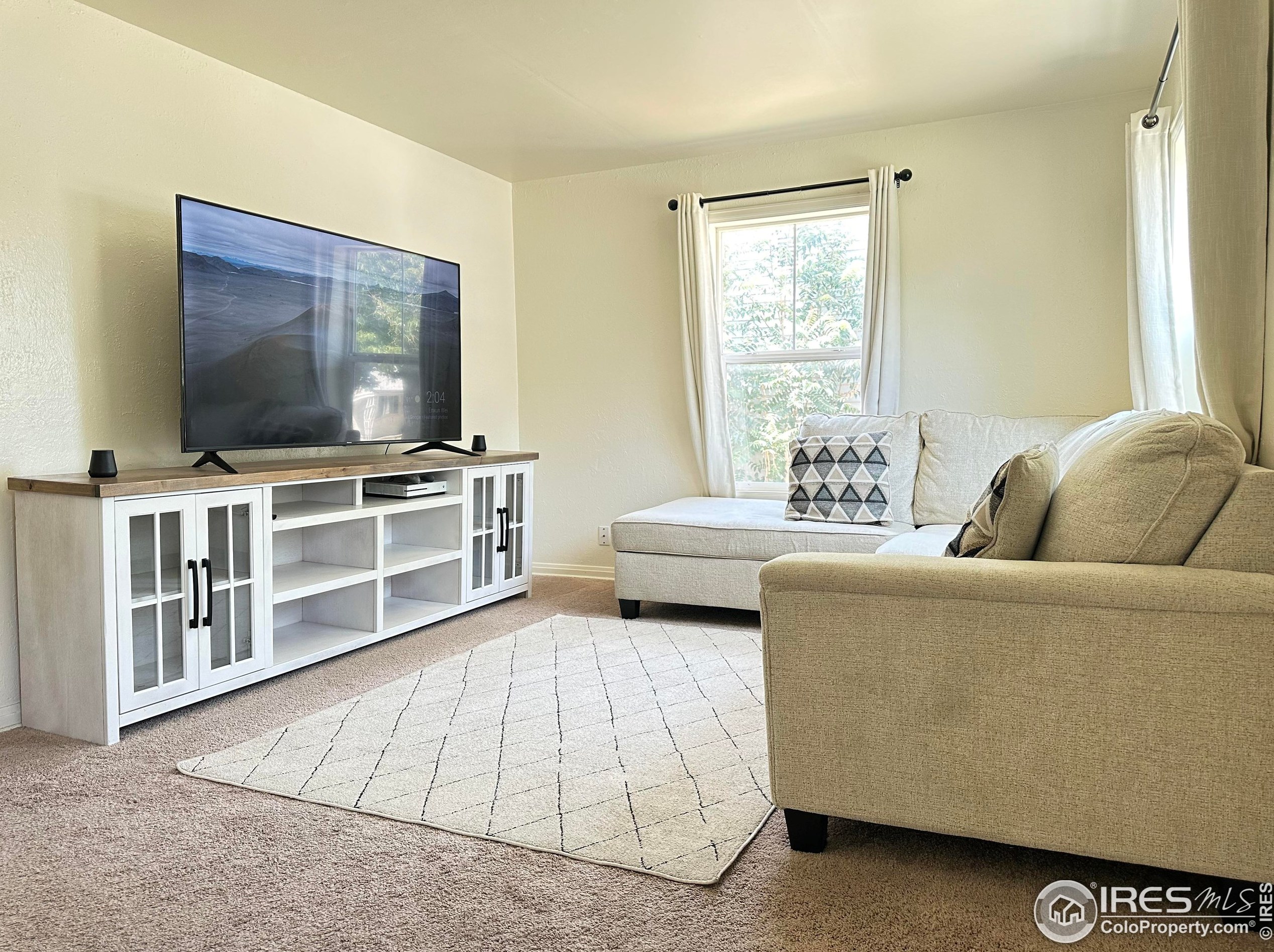 1121 Geneva St, Denver CO  80010-3307 exterior