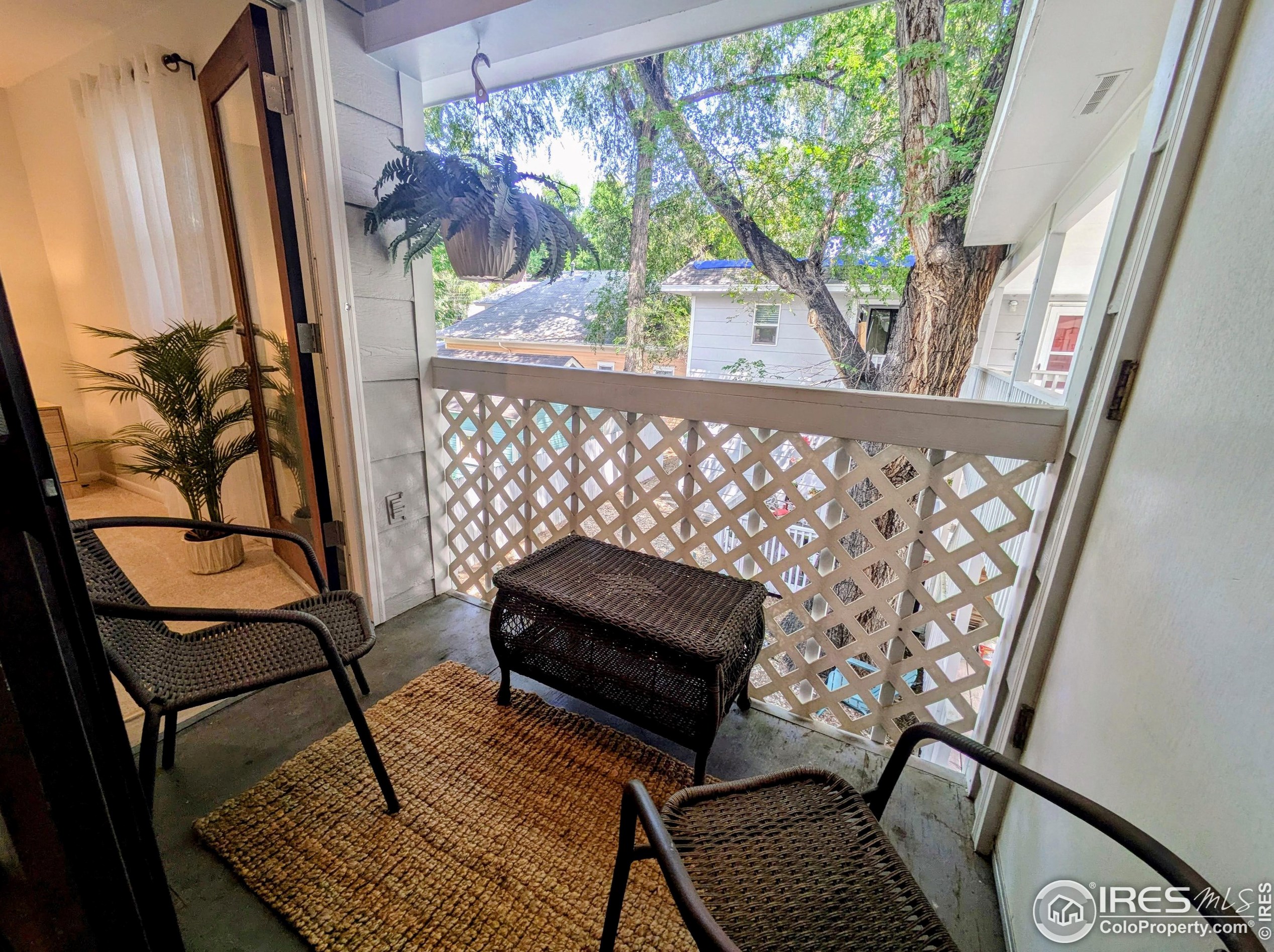 348 Collyer St, Longmont, CO 80501-5558