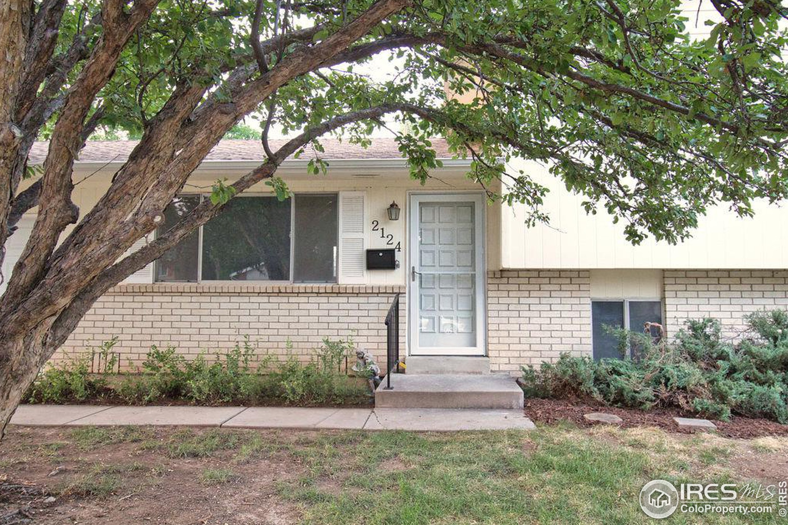 2124 Romney Ave, Fort Collins, CO 80526