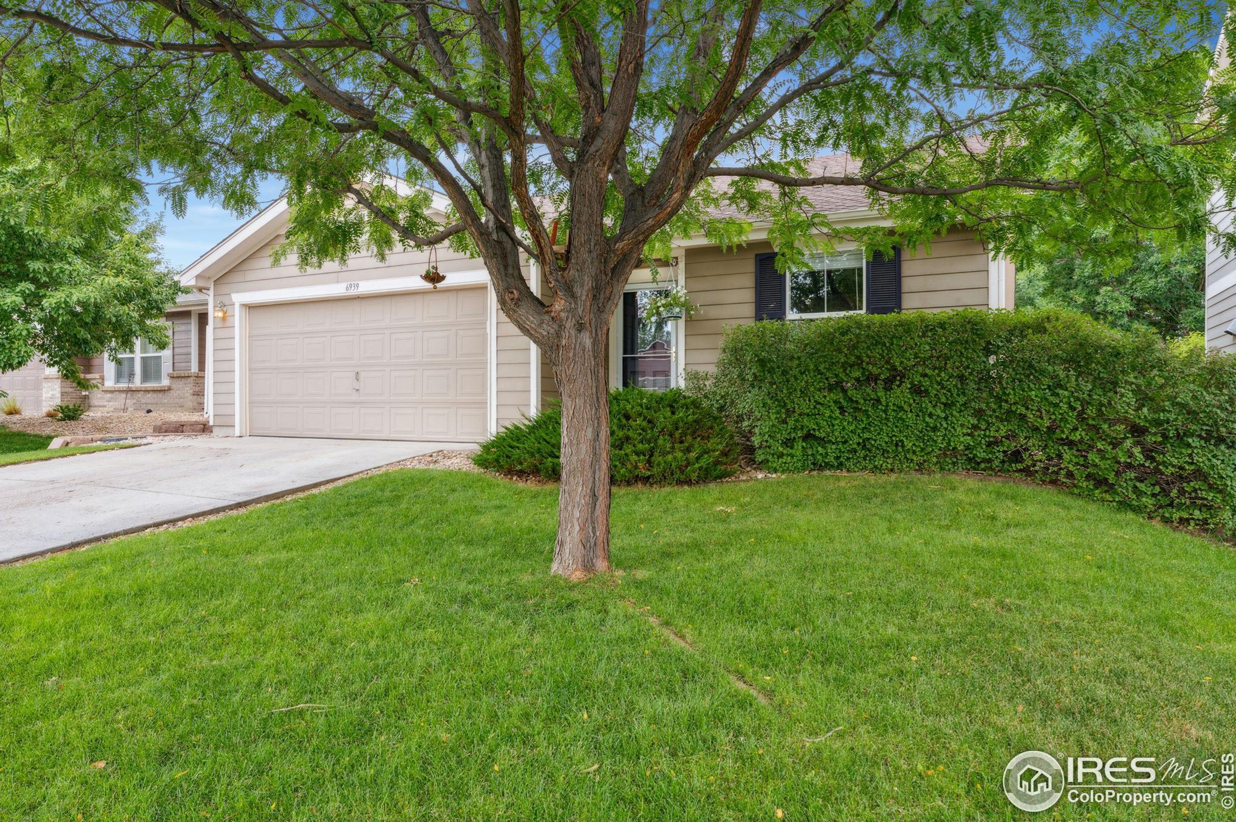 6939 Rosemont Ct, Fort Collins, CO 80525