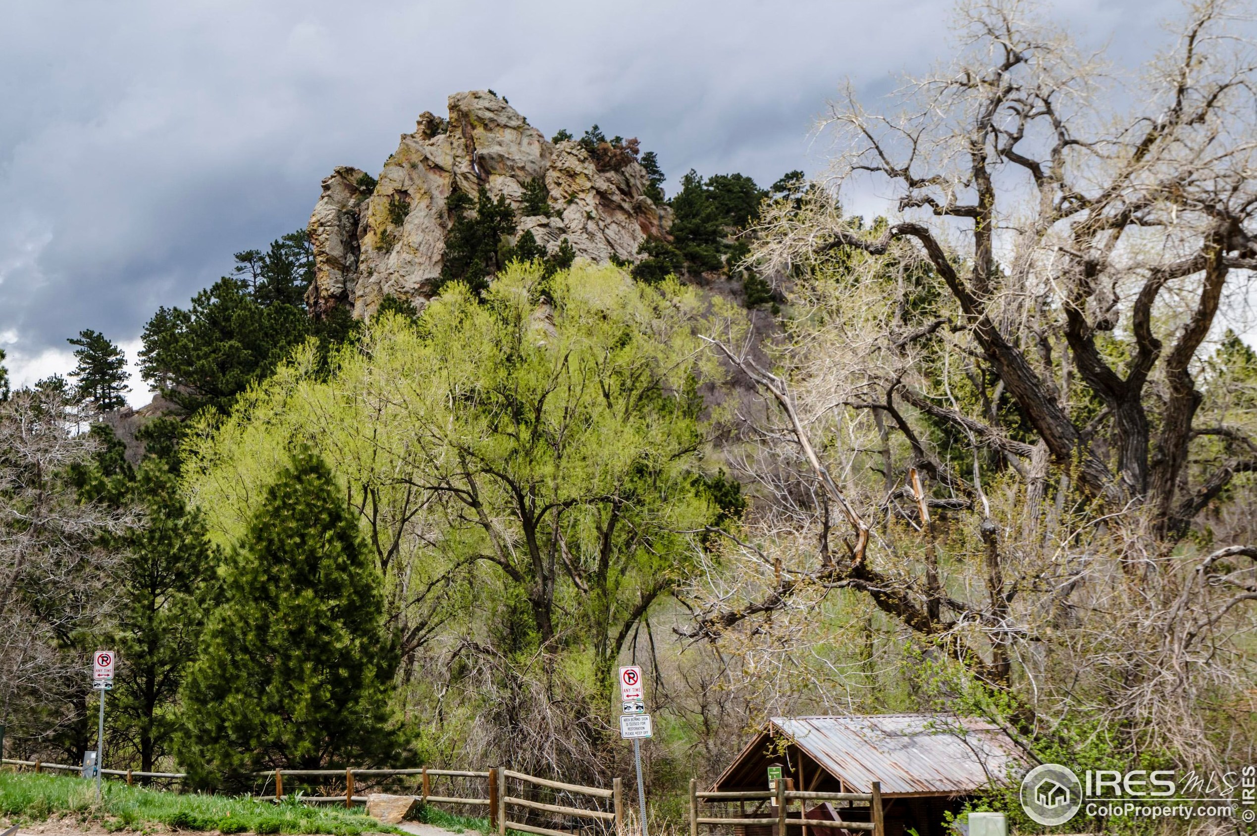 550 Cedar Ave, Boulder CO 80304-3023 exterior