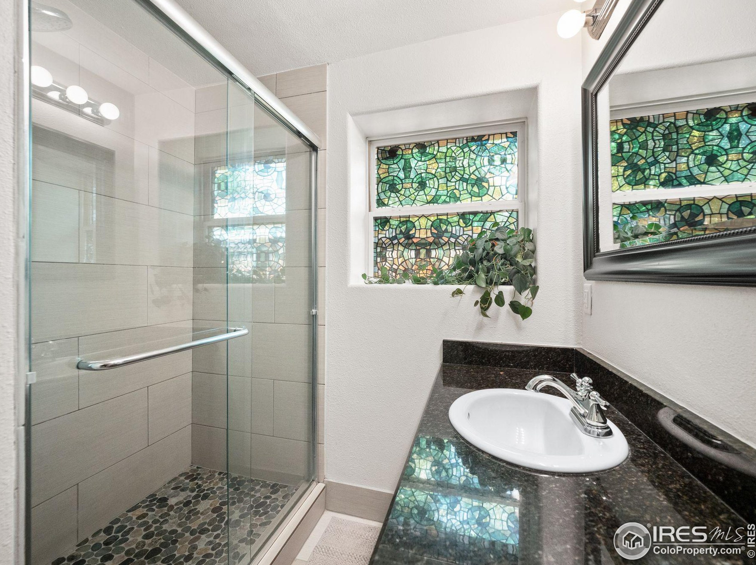 1747 Trenton St, Denver CO  80220-2046 exterior