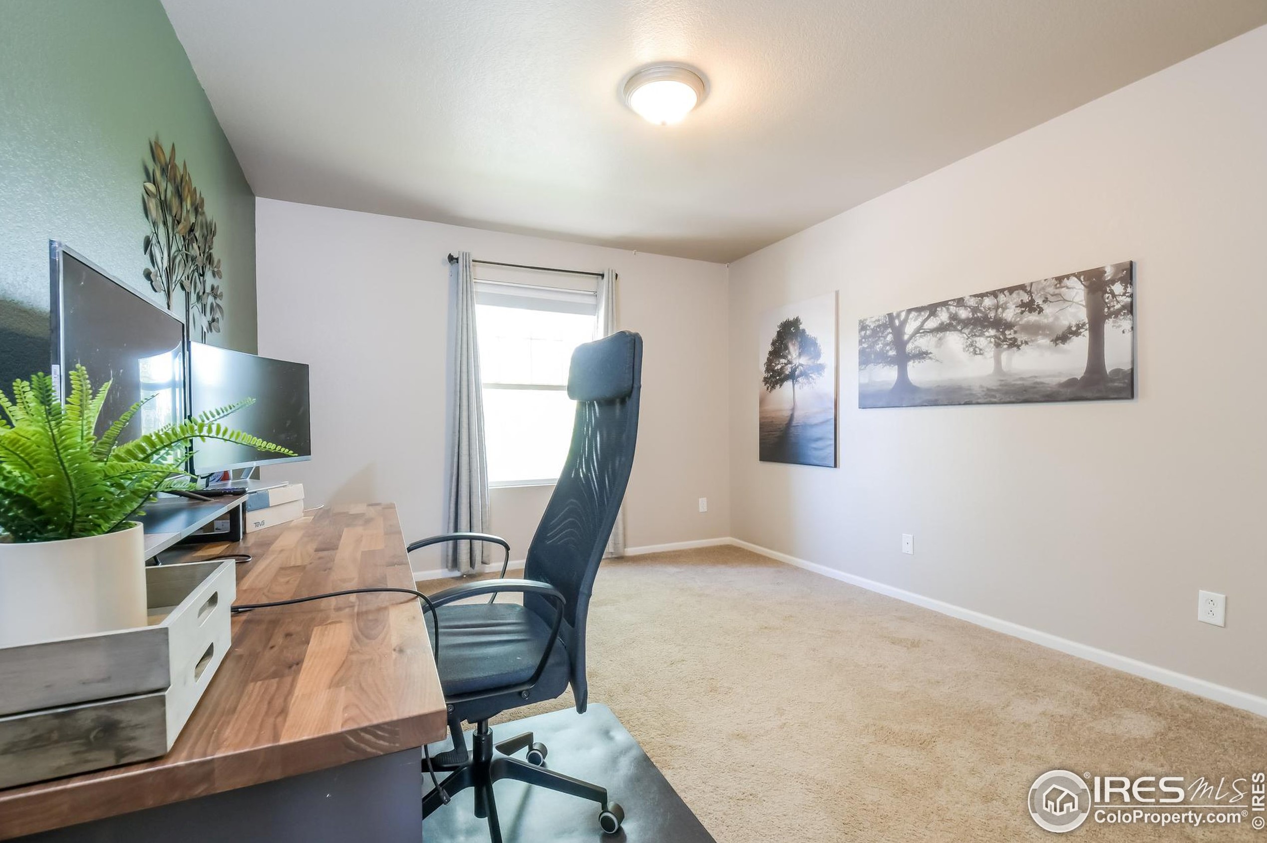 12665 Jasmine St, Denver CO 80220-2723 exterior