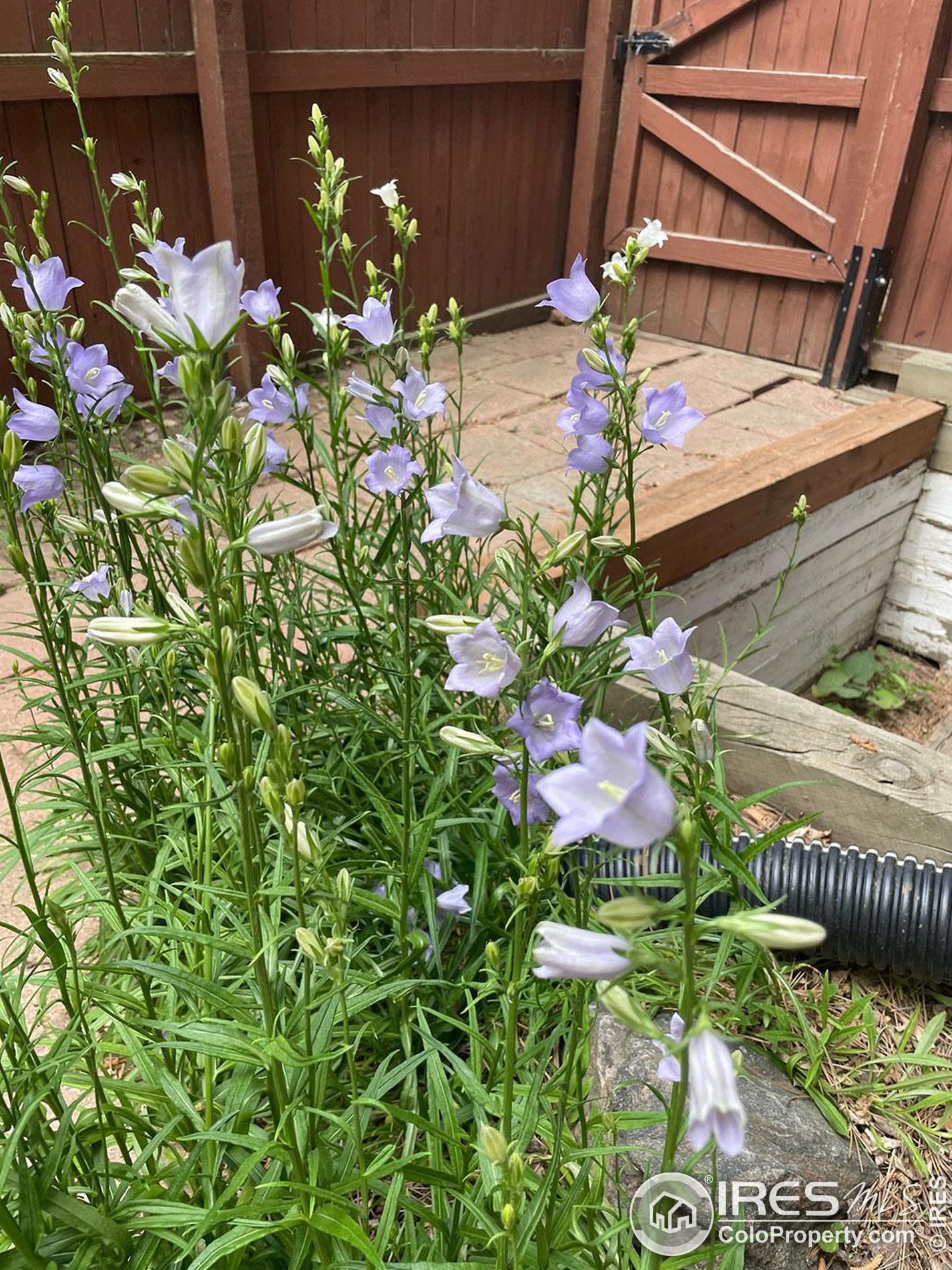 2647 Juniper Ave, Boulder CO 80304-2458 exterior