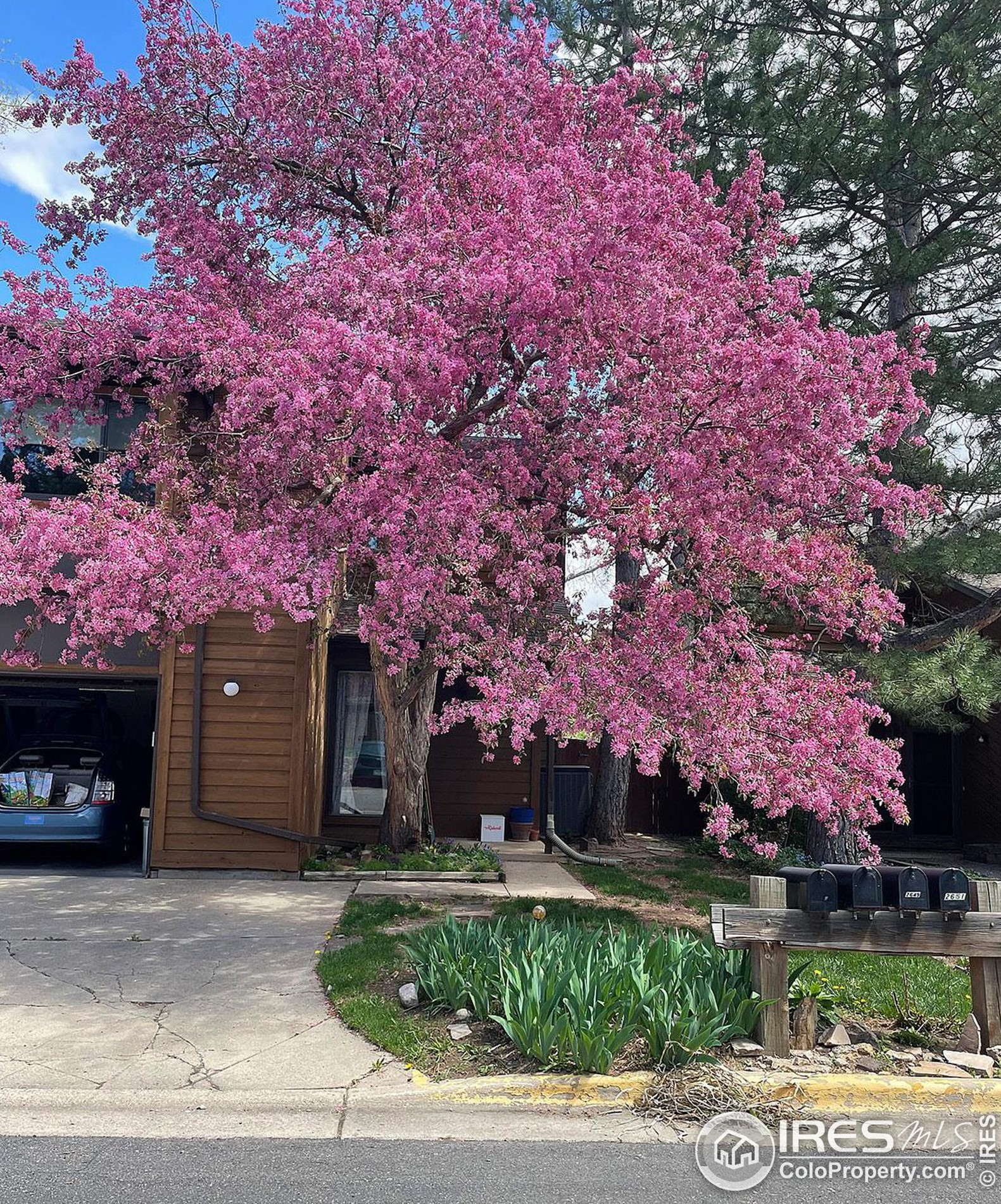 2647 Juniper Ave, Boulder CO 80304-2458 exterior