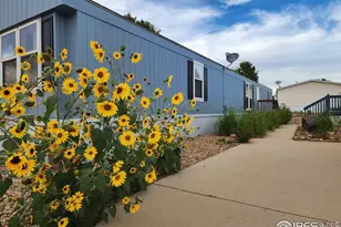 4795 Audrey St, Firestone, CO 80504 - Photo 28