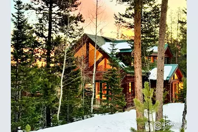 287 S Skinner Rd, Allenspark, CO 80510 - Photo 1