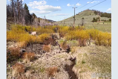 6651 W County Road 68C, Red Feather Lakes, CO 80545 - Photo 1