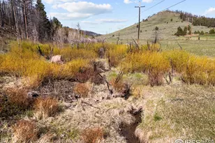 6651 W County Road 68C, Red Feather Lakes, CO 80545 - Photo 1